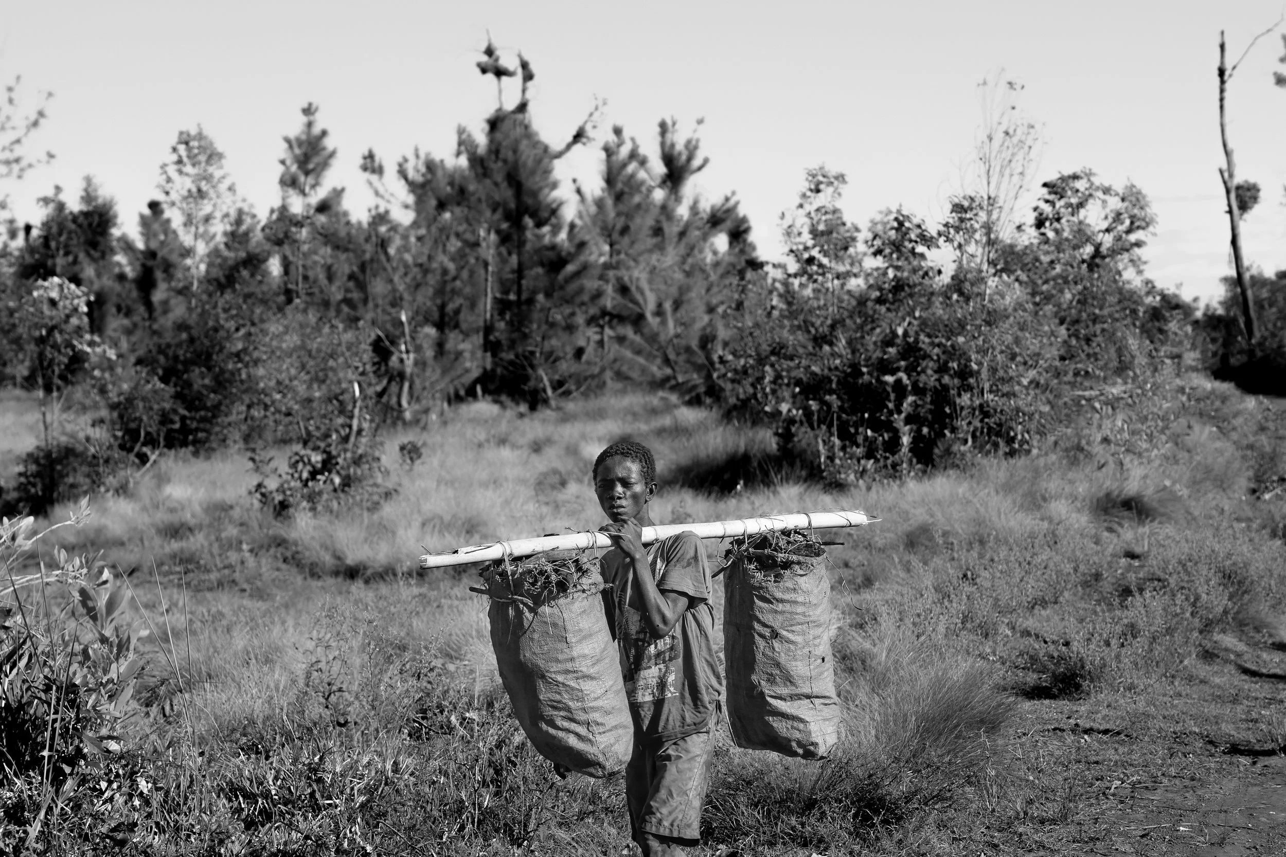 02-27-2023_madagascar edits.jpg