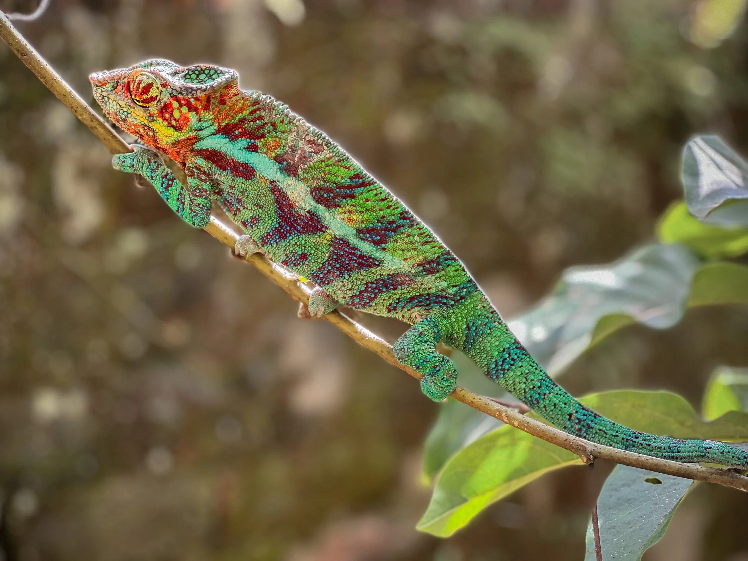 website compression-176.jpg