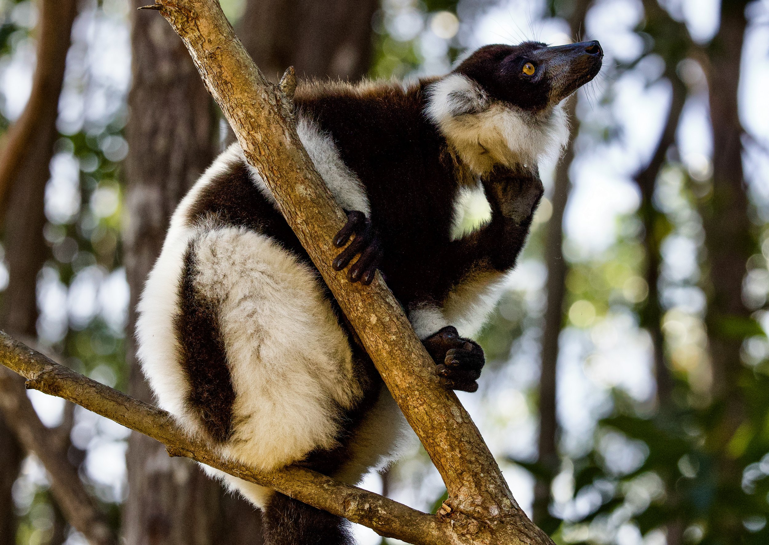 website compression-172.jpg