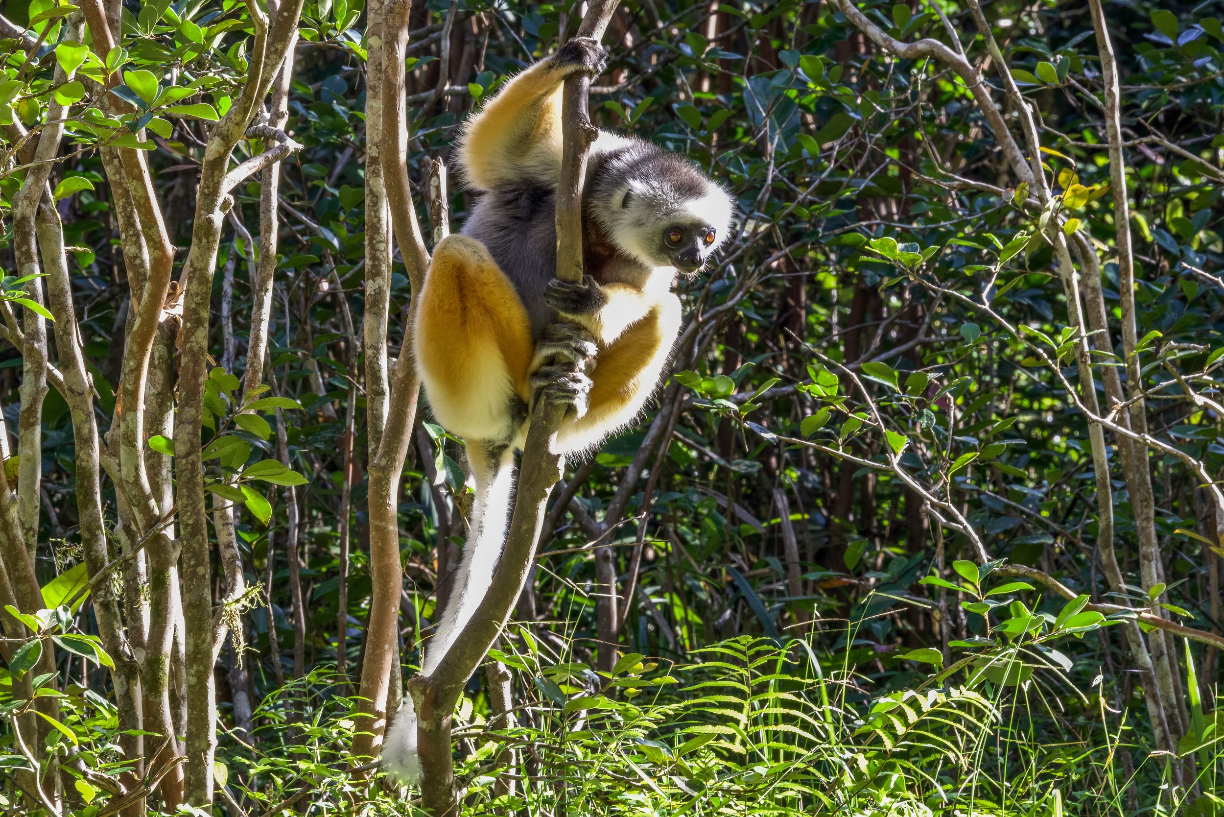 website compression-166.jpg