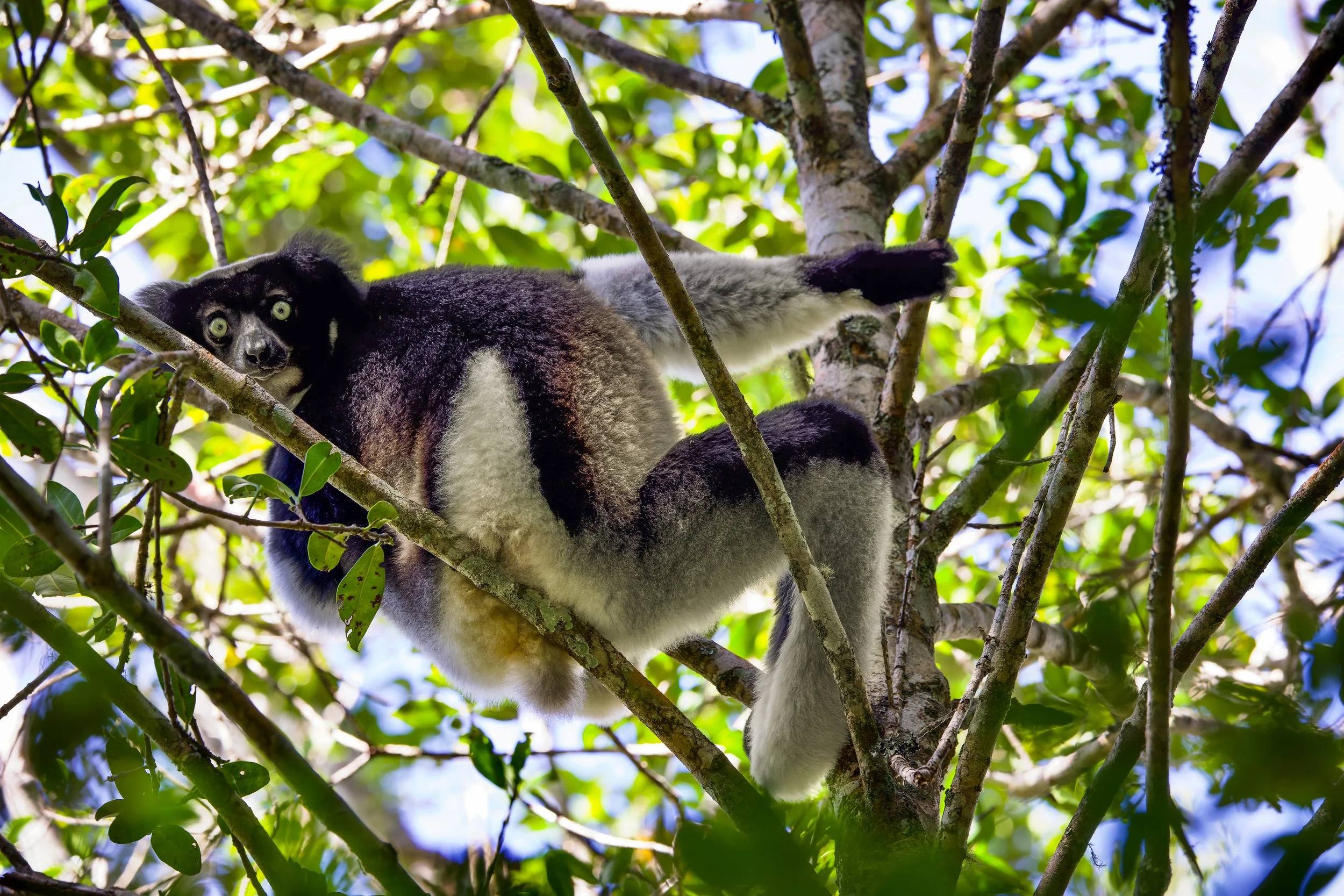 website compression-160.jpg