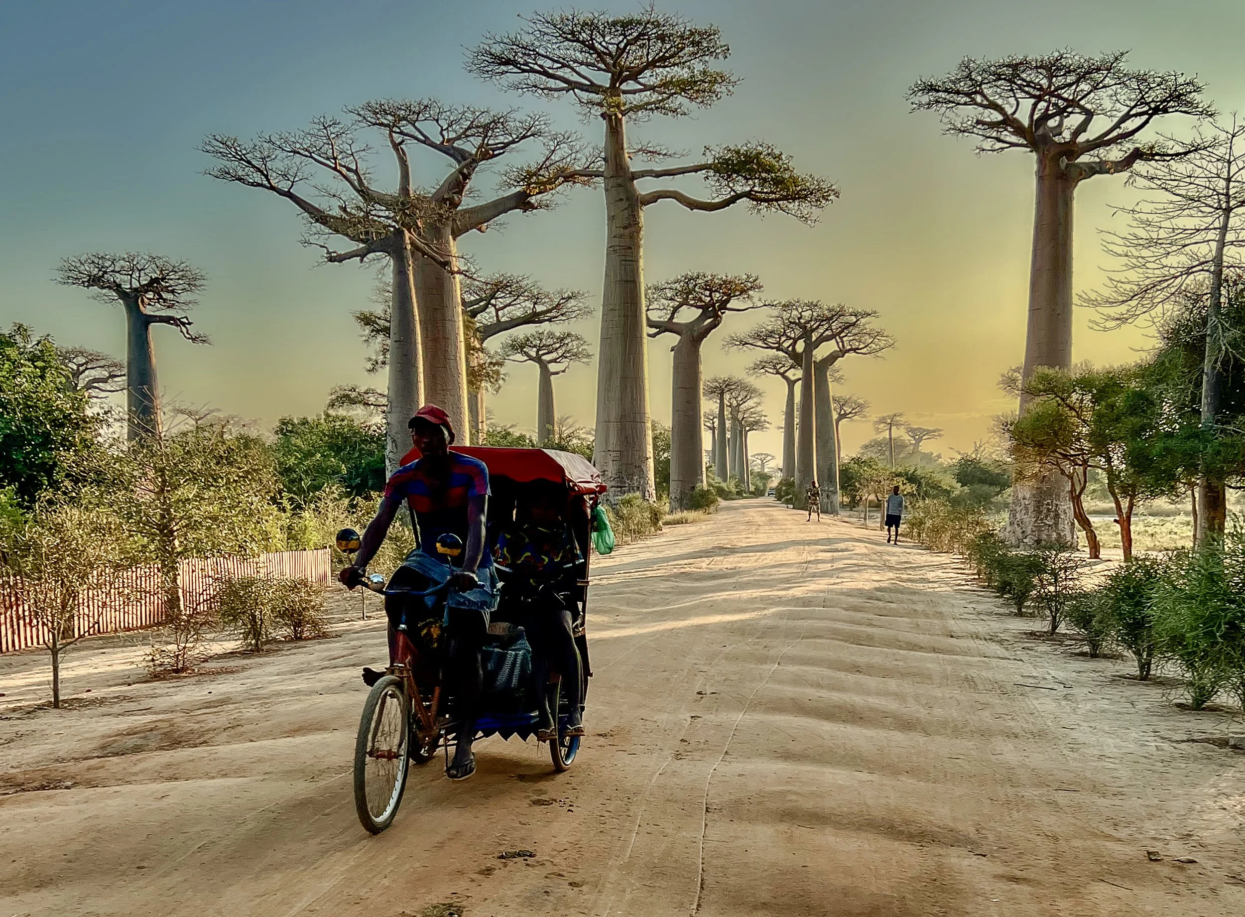 website compression-156.jpg