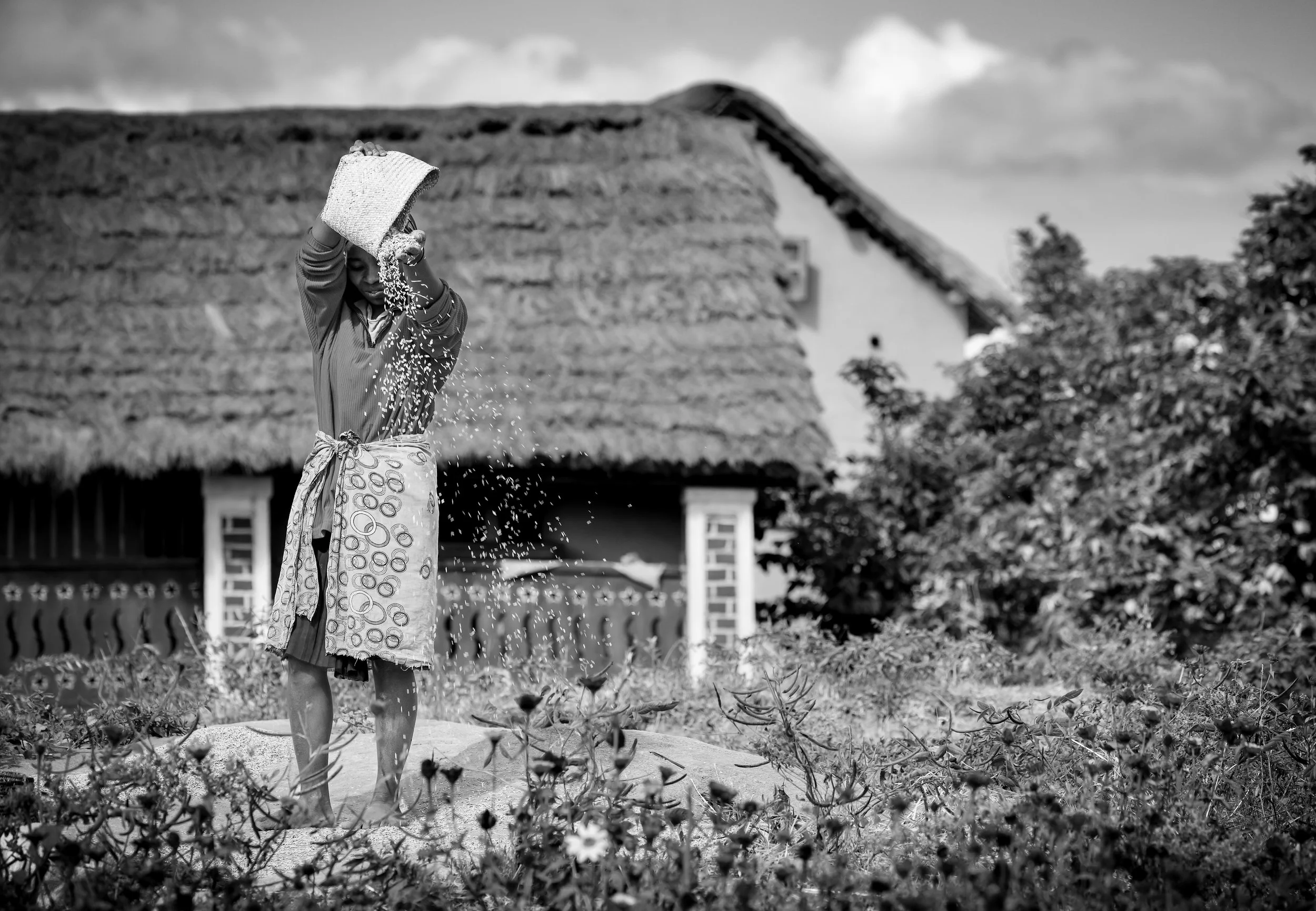 website compression-73.jpg