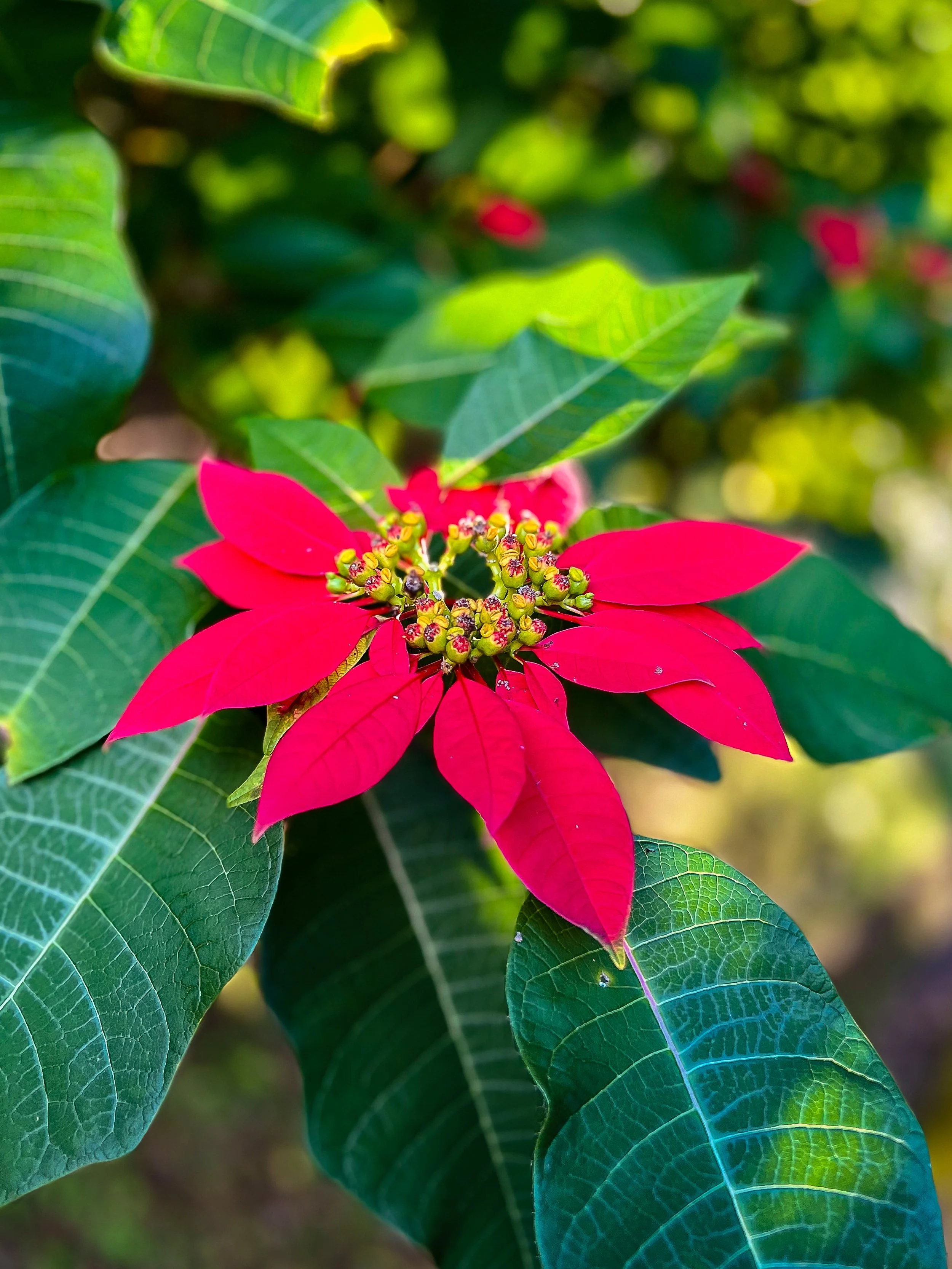 website compression-170.jpg