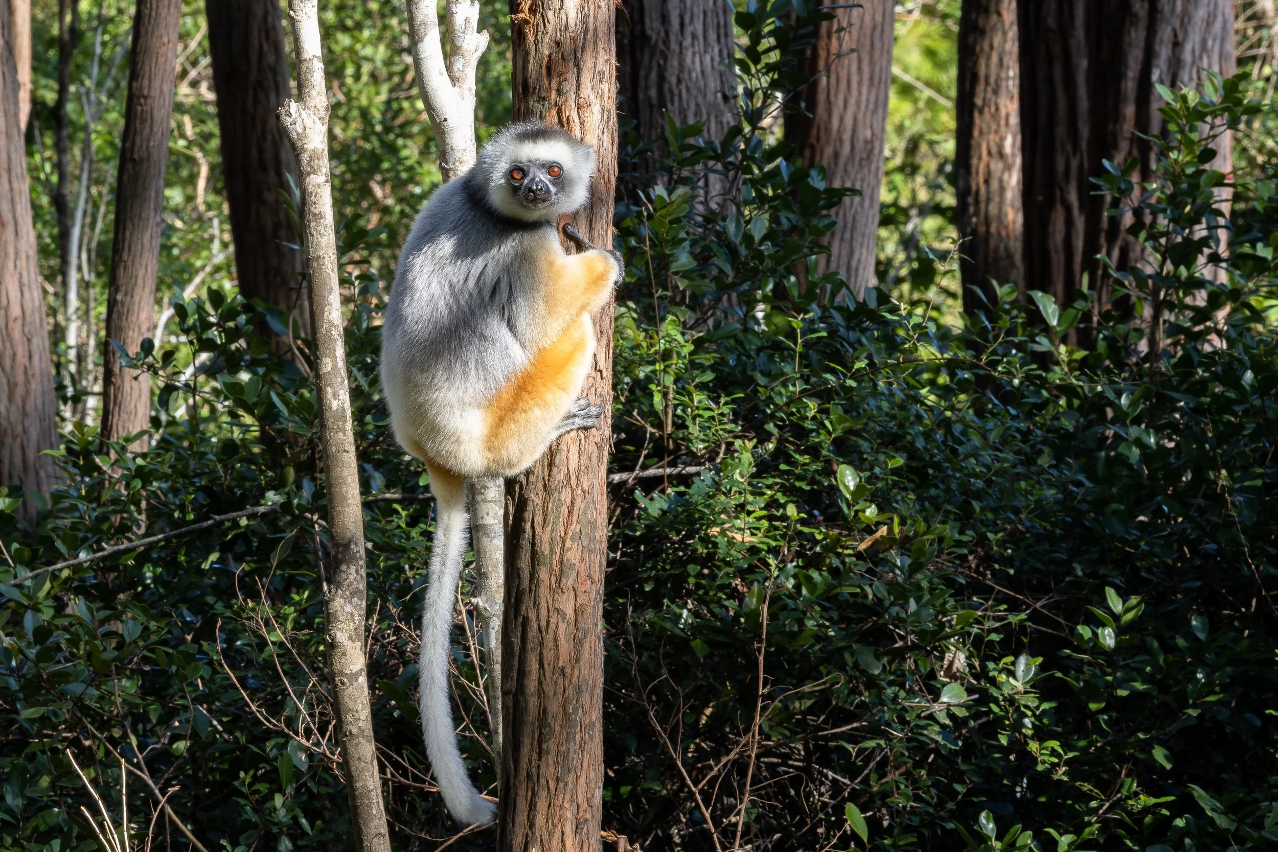 website compression-164.jpg