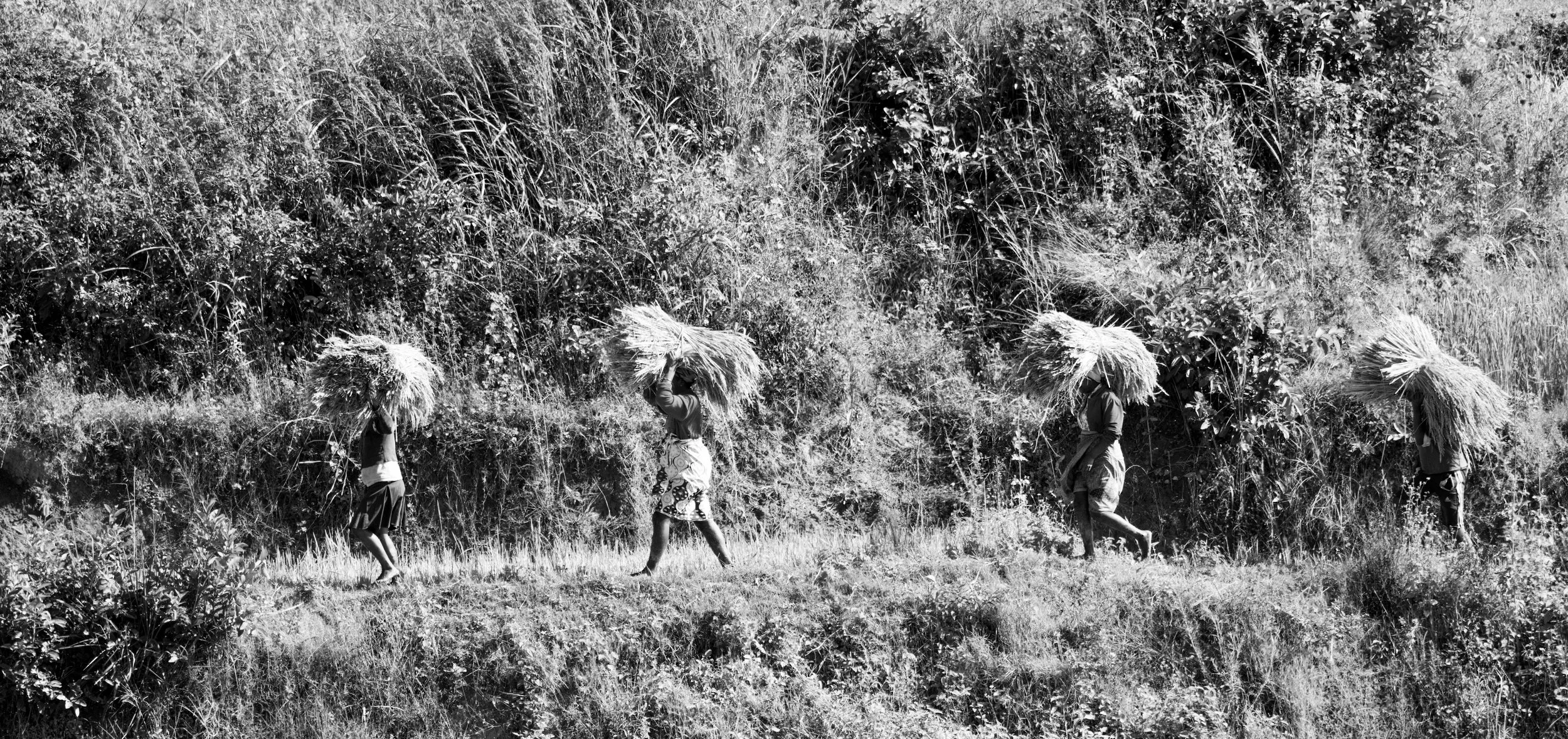 website compression-69.jpg