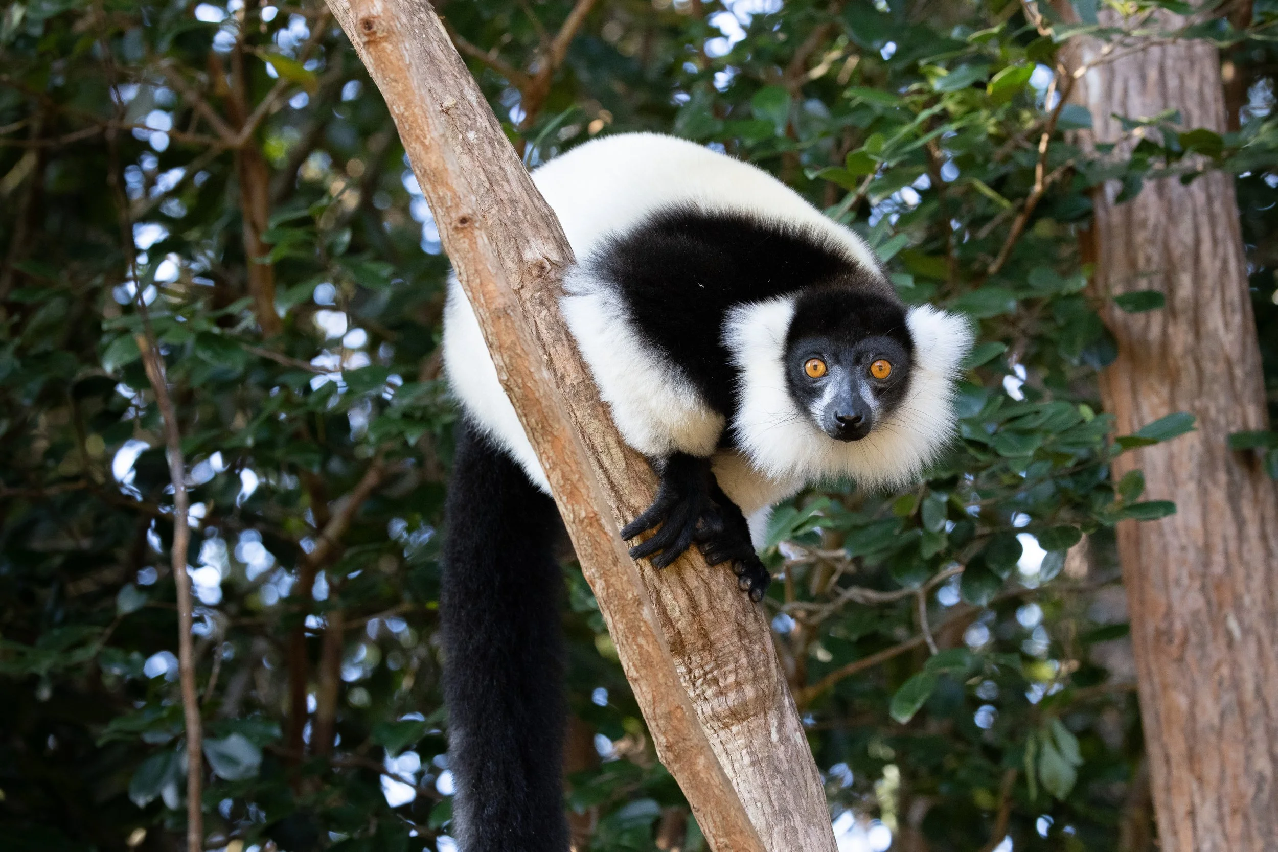 website compression-8.jpg