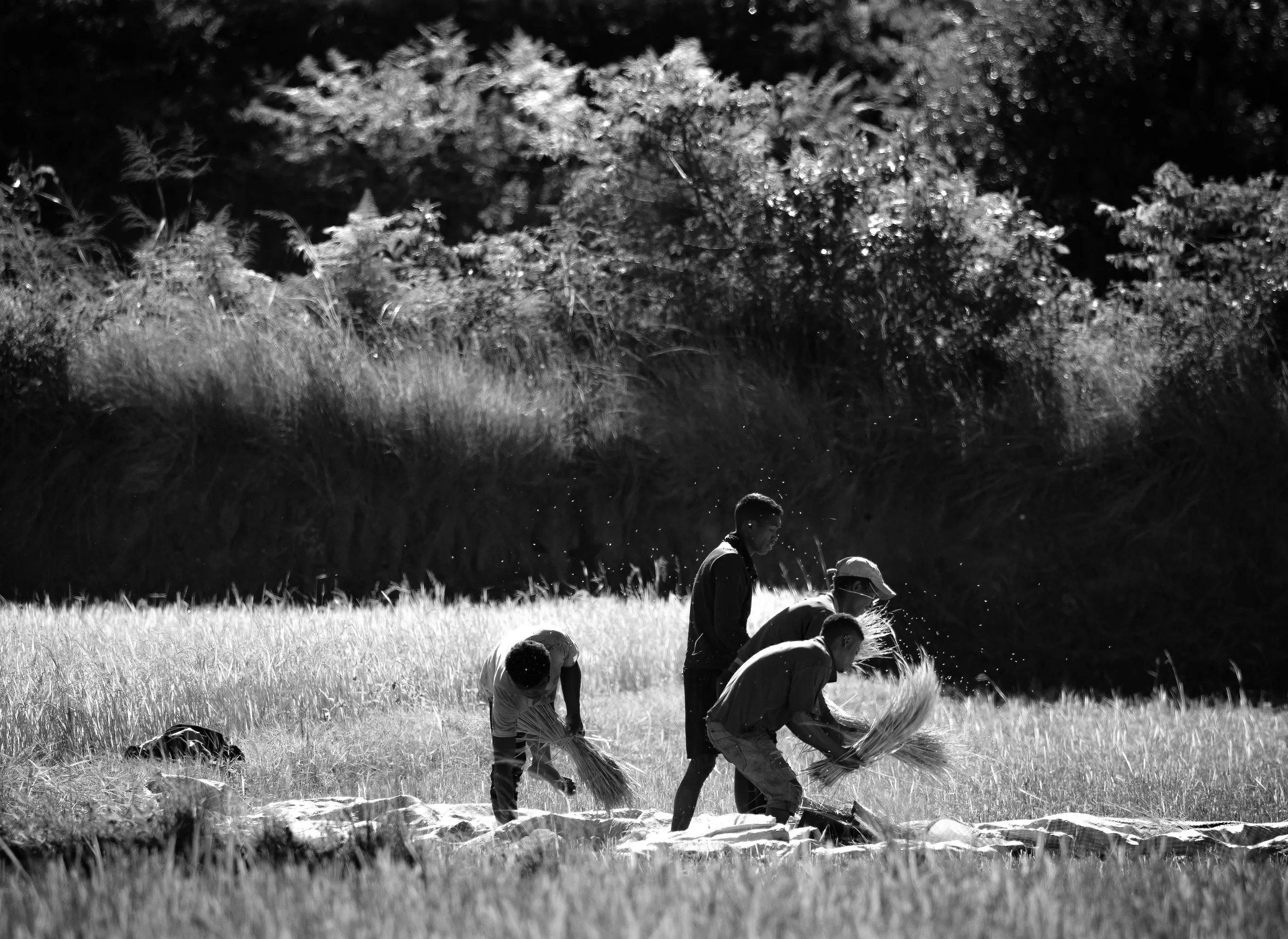 website compression-96.jpg