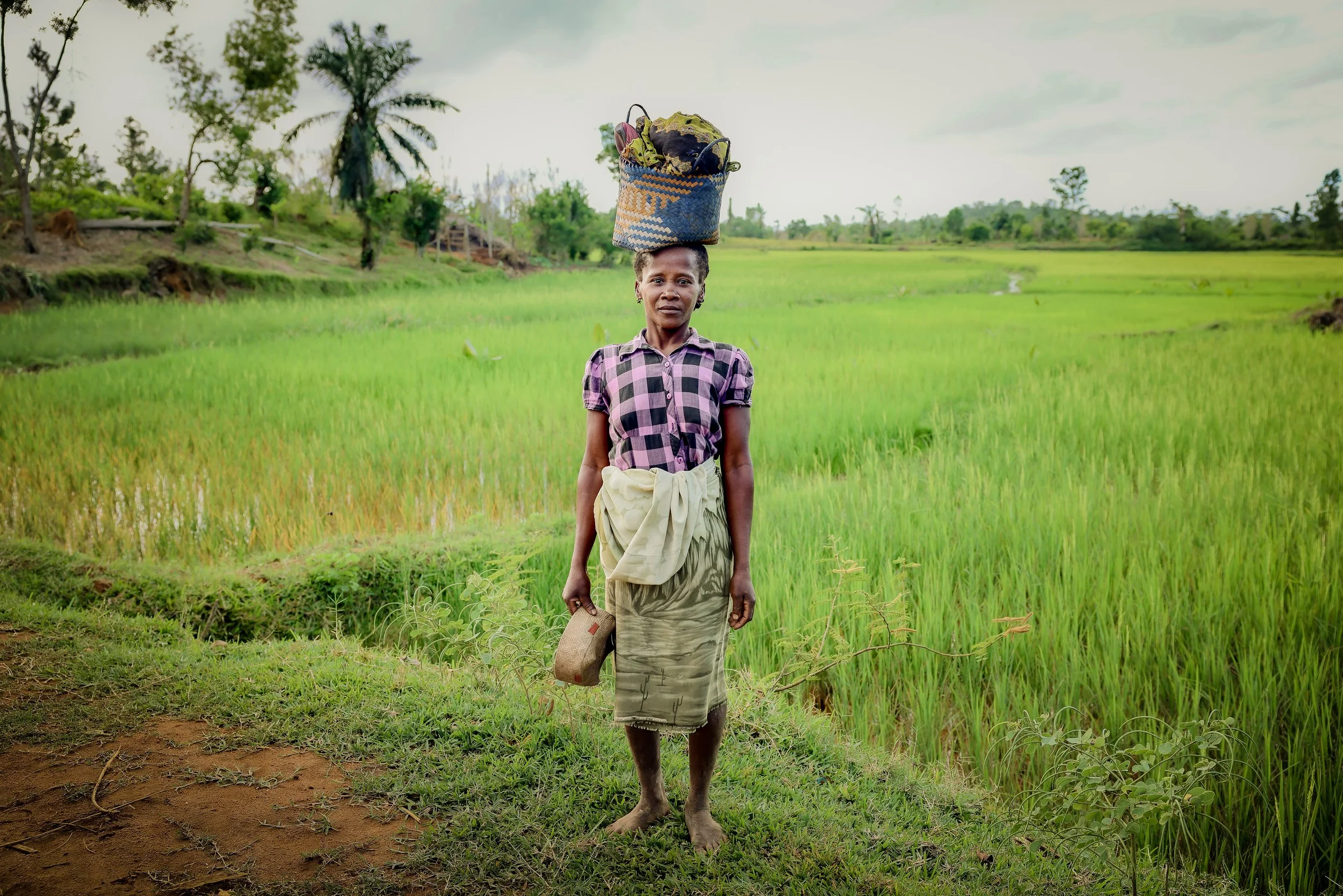 website compression-37.jpg