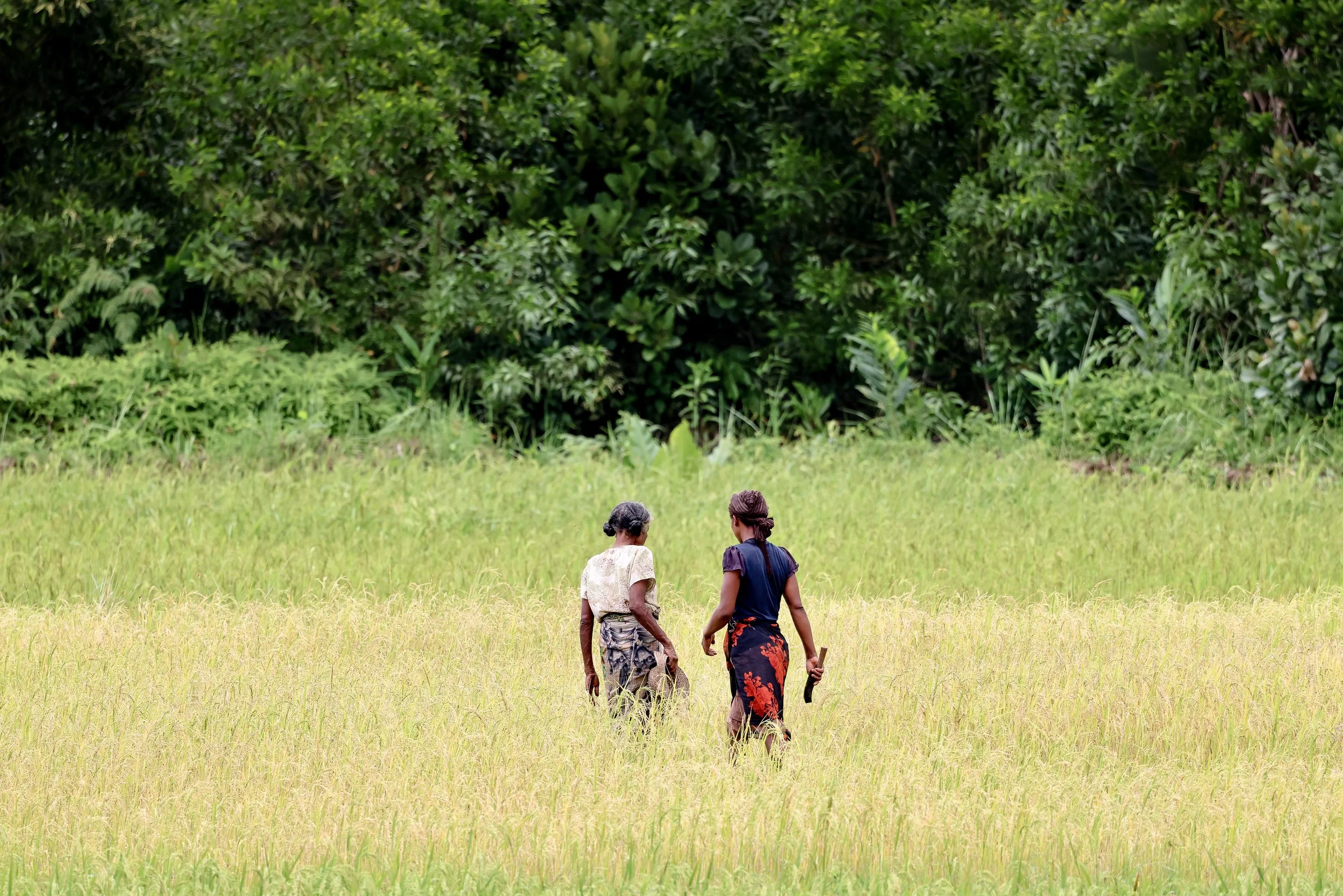 website compression-34.jpg