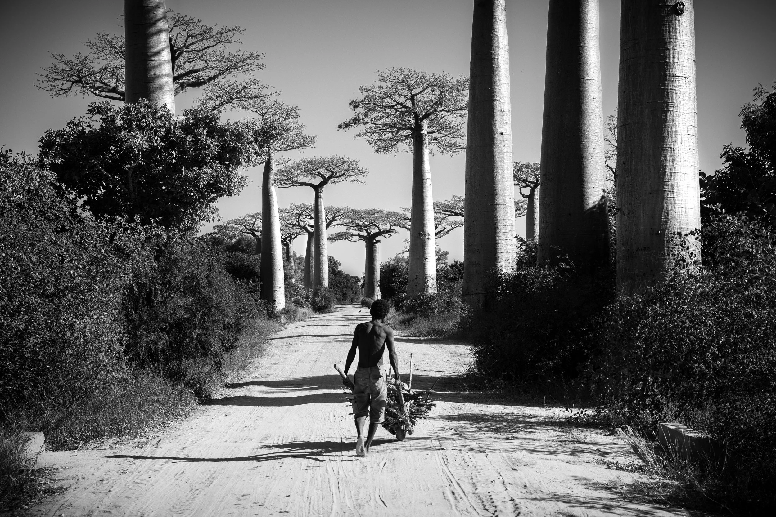 website compression-123.jpg