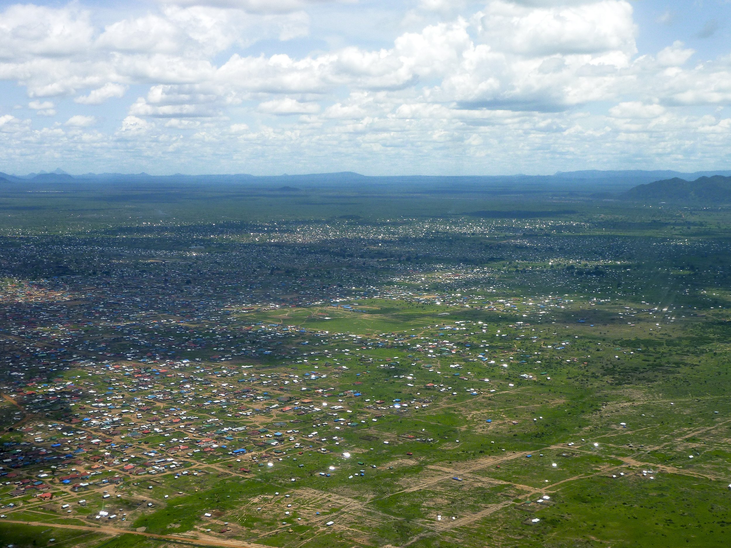 P1000929.jpg