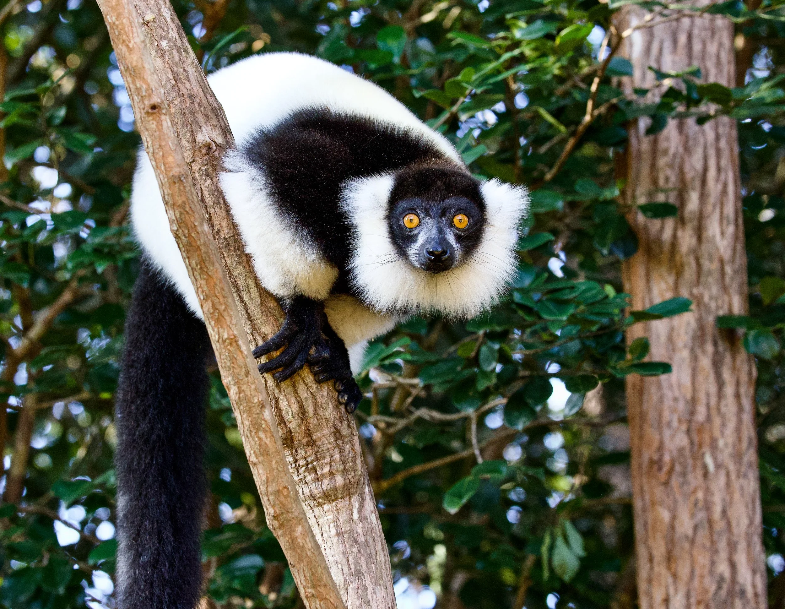 03-16-2023_madagascar edits-11.jpg