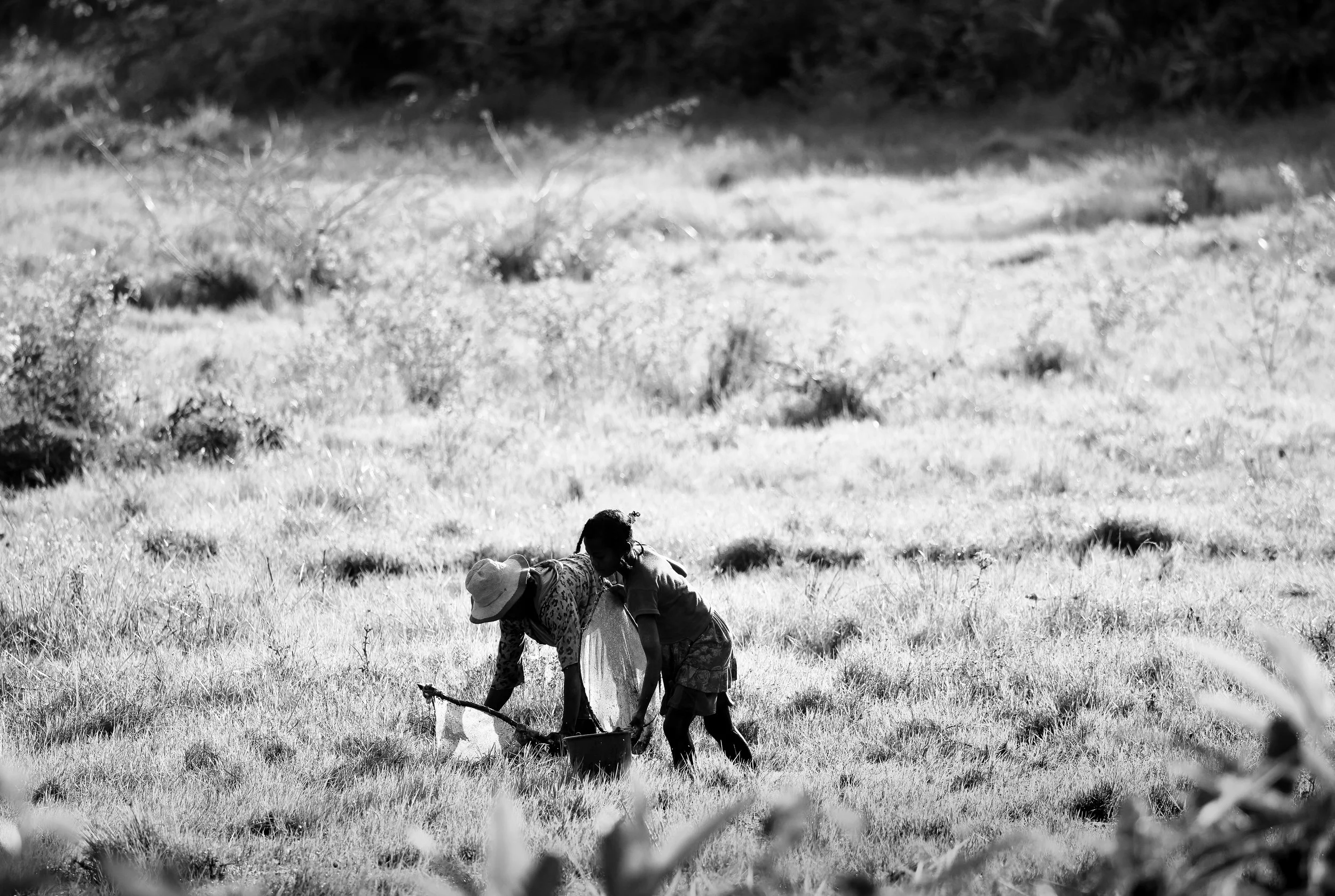 website compression-64.jpg