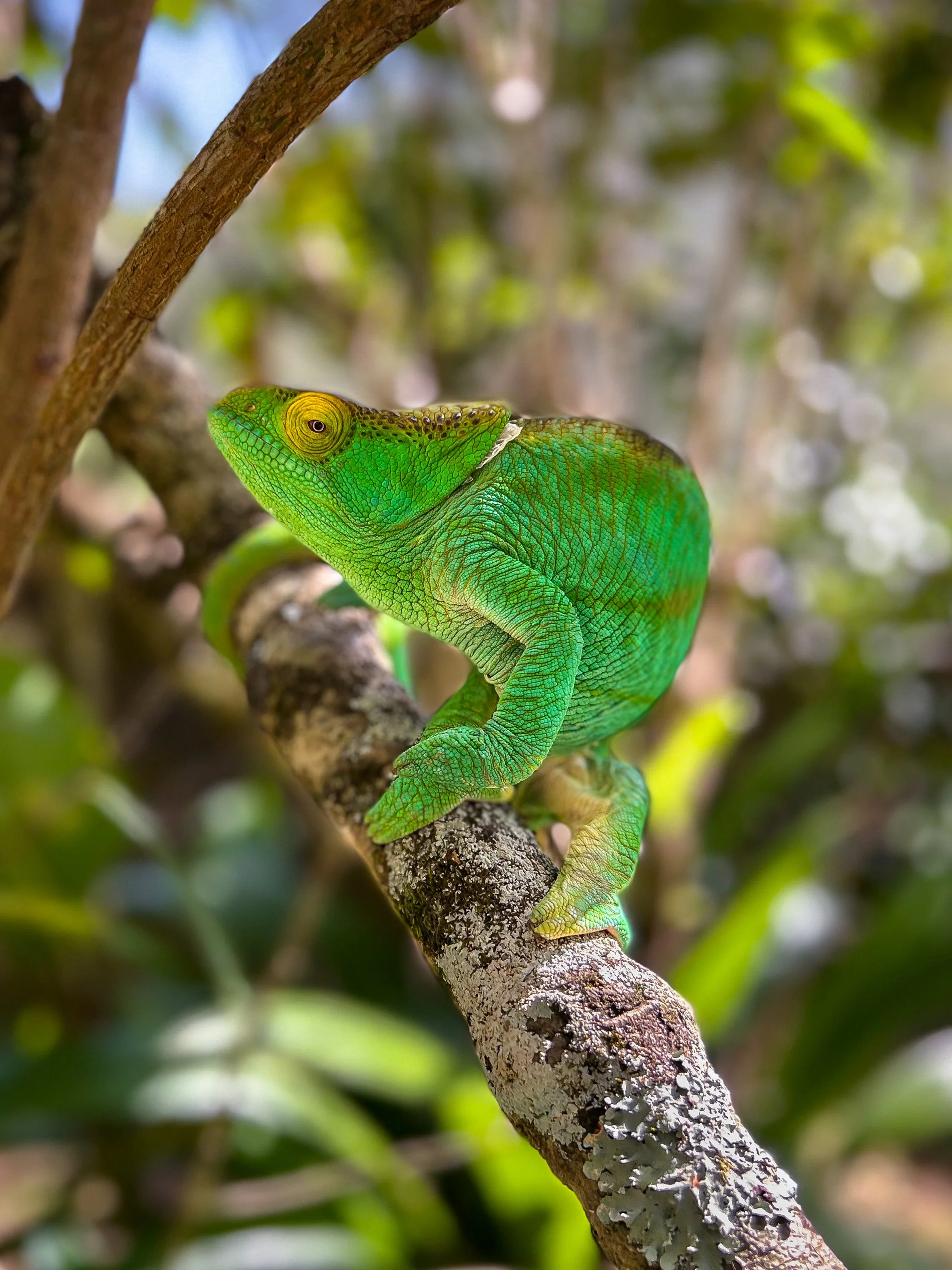 website compression-175.jpg