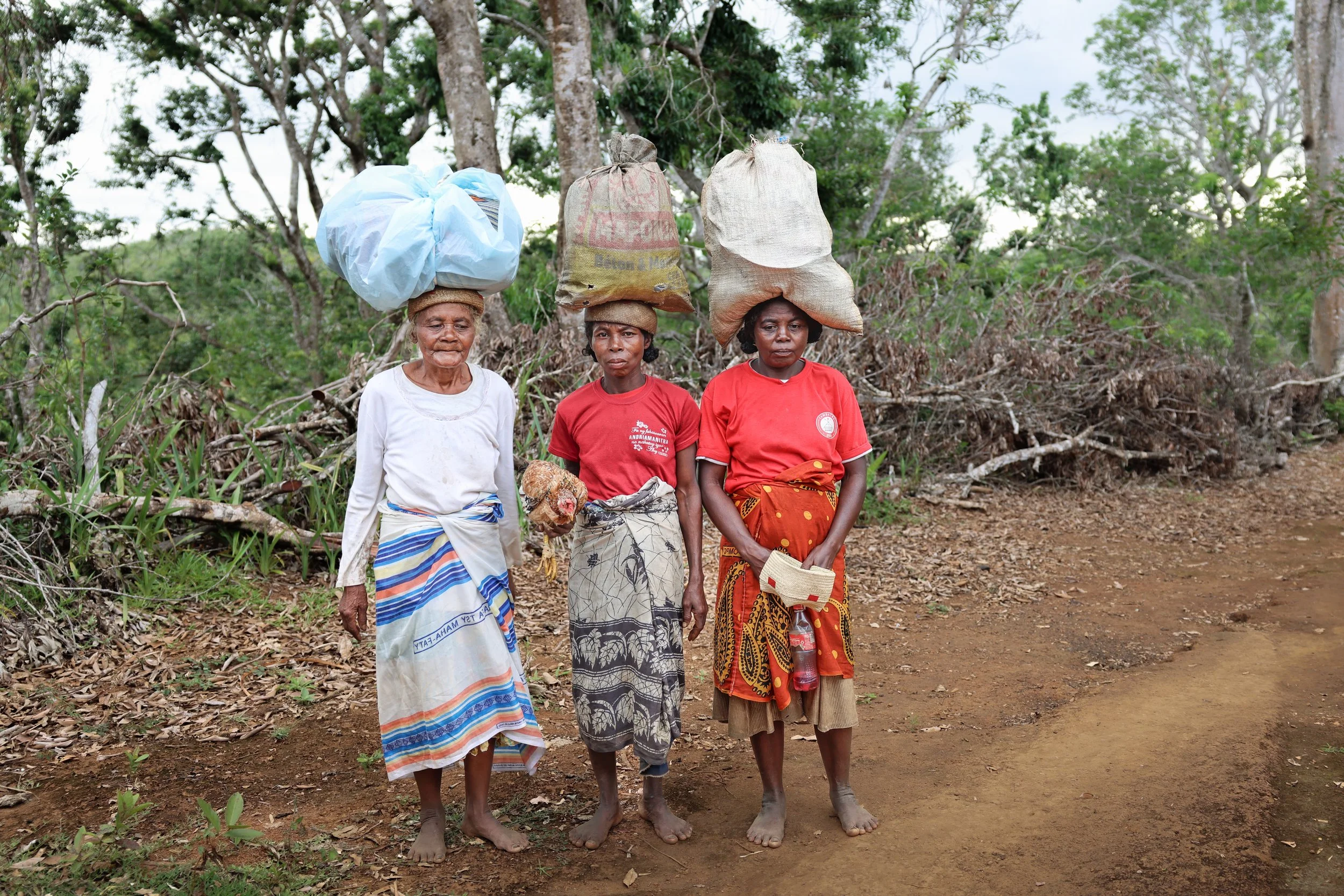 website compression-15.jpg