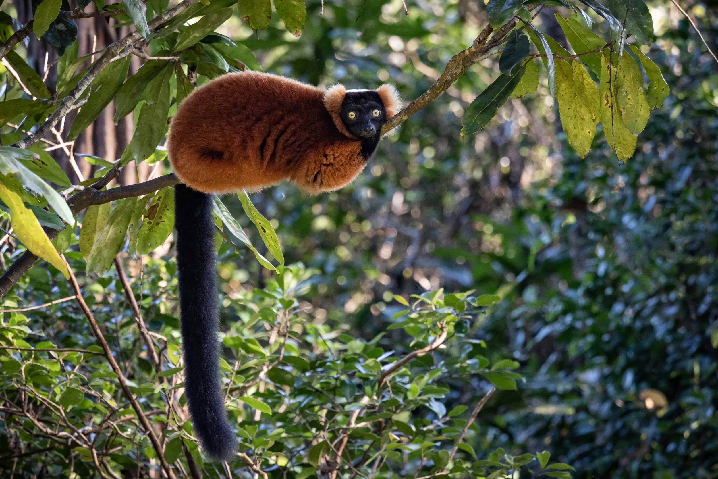 website compression-167.jpg