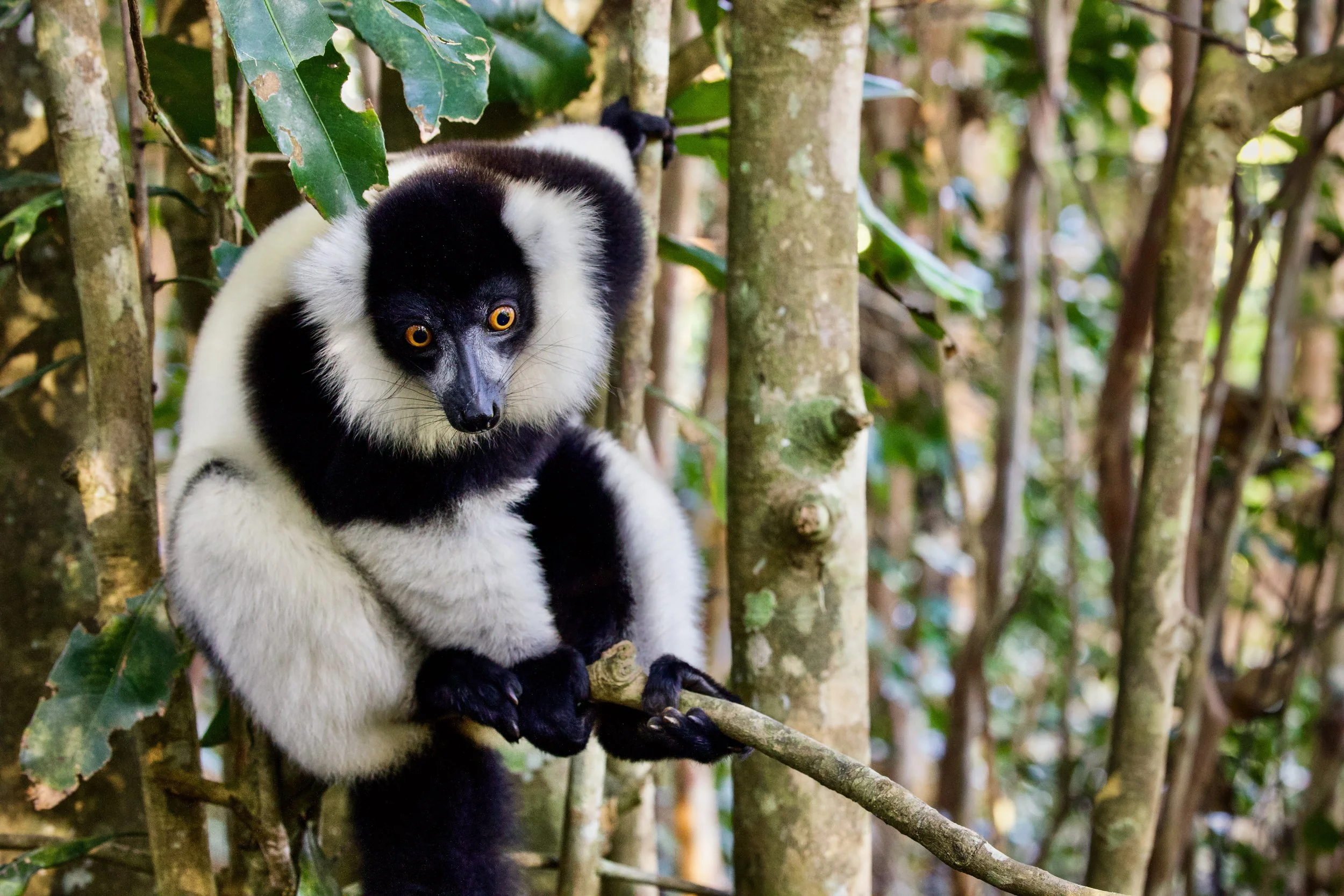 website compression-169.jpg