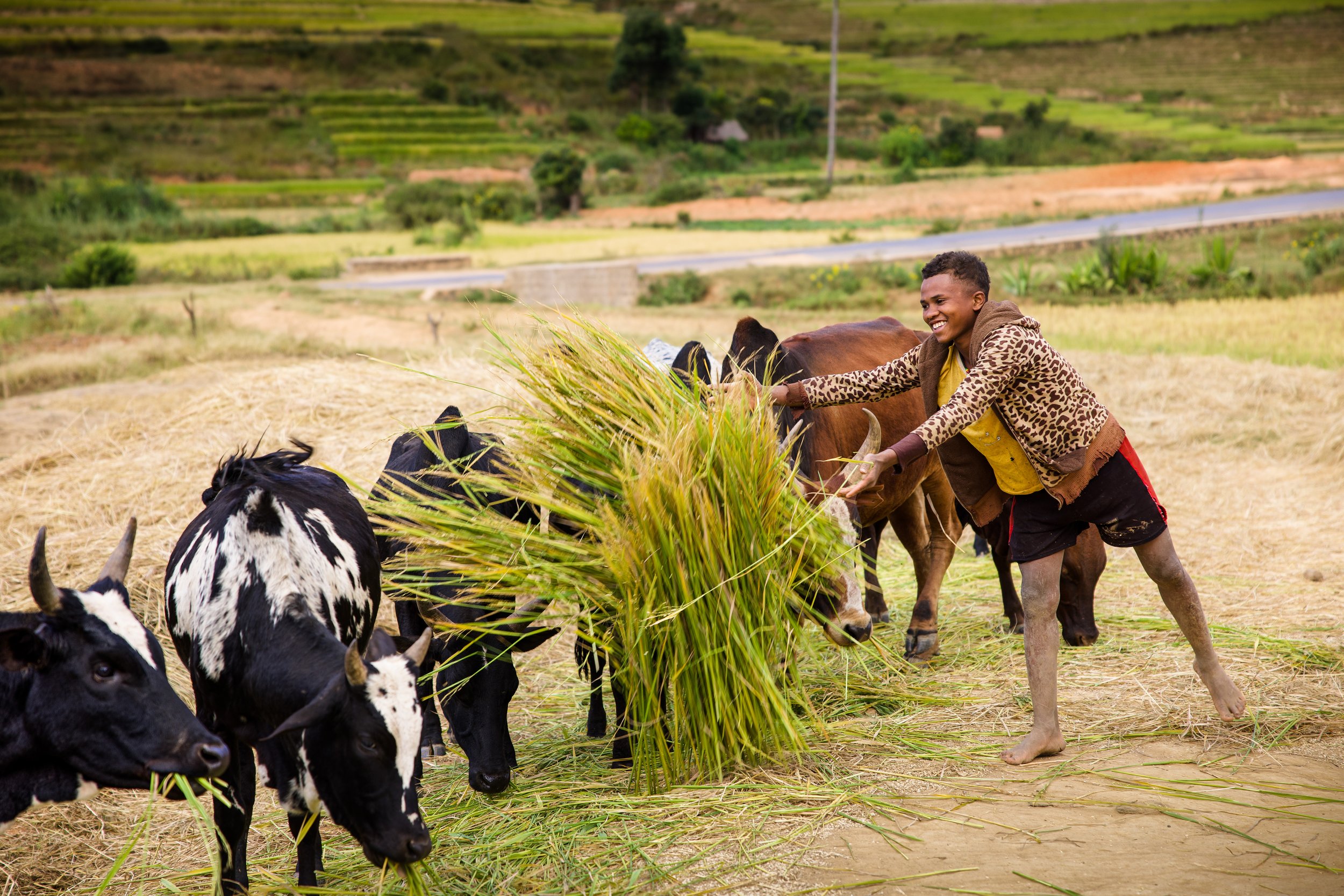 website compression-79.jpg