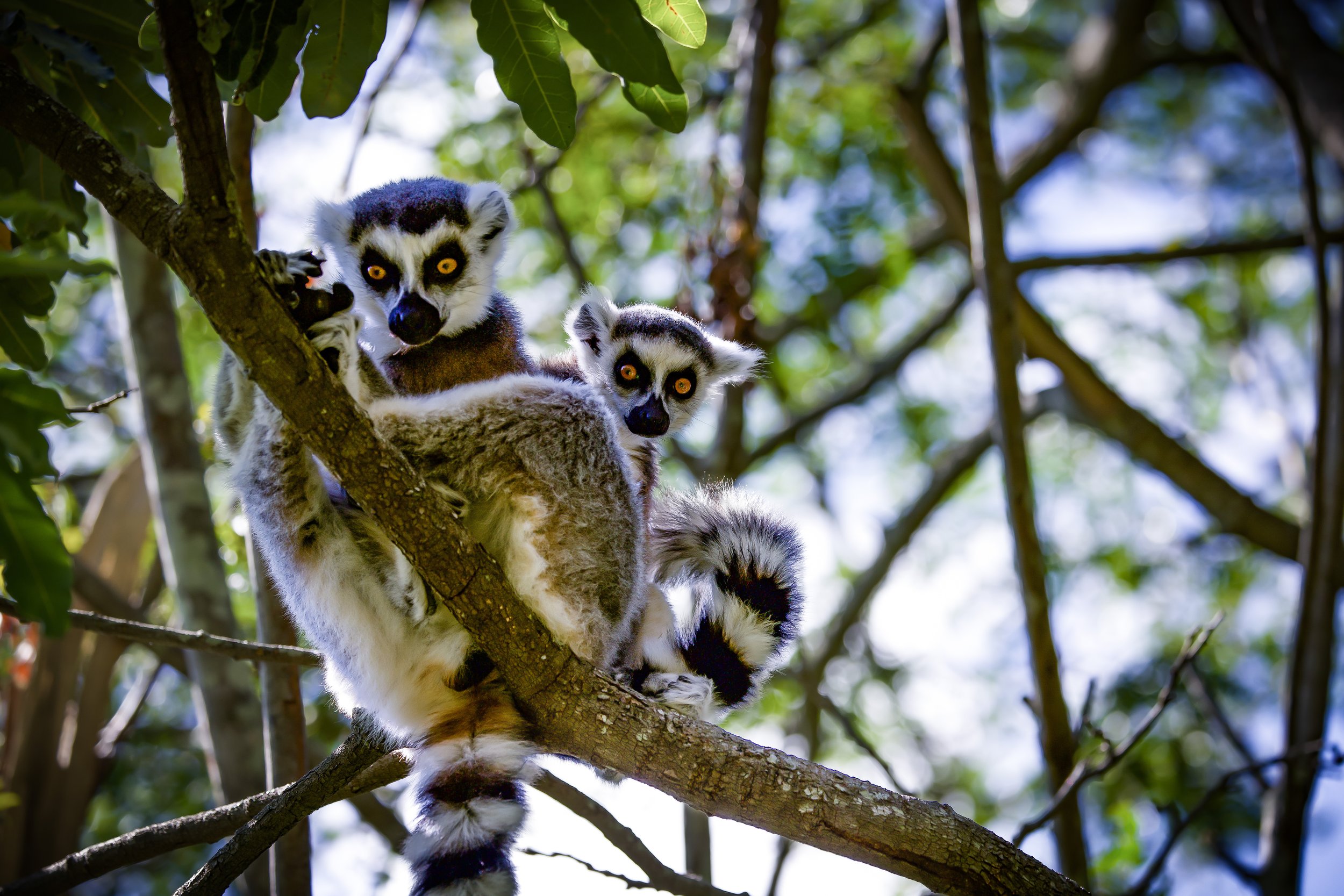 website compression-76.jpg