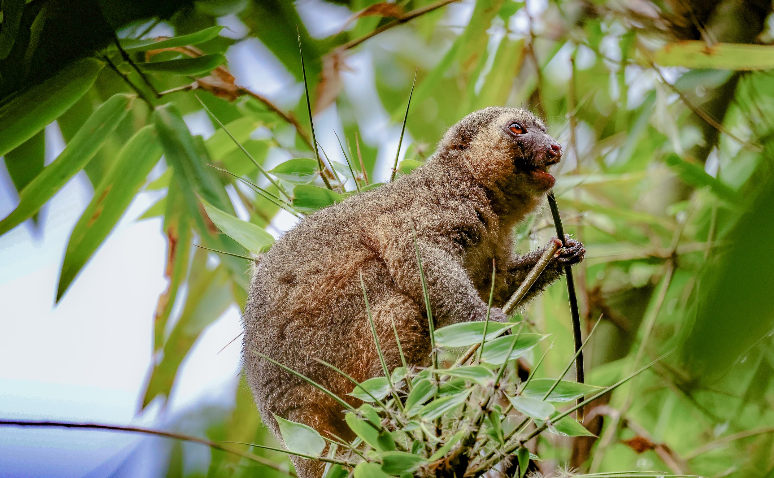 website compression-56.jpg