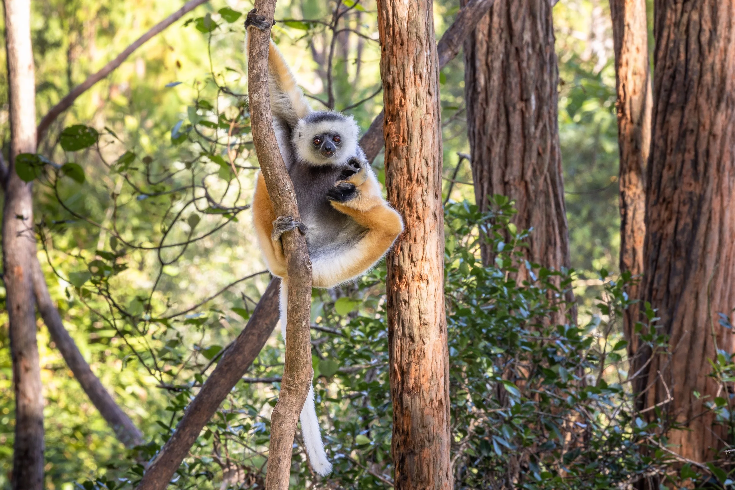 website compression-165.jpg