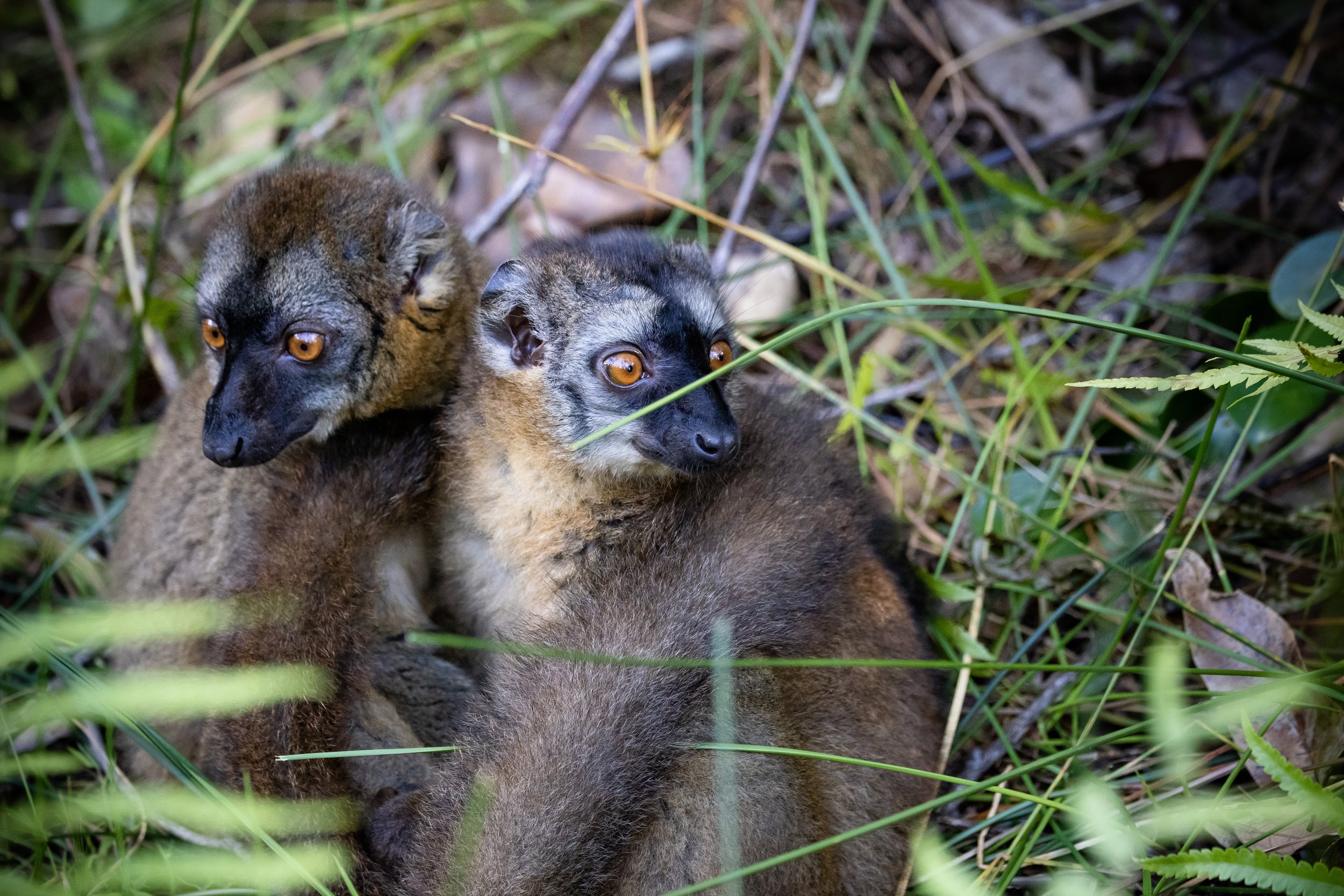 website compression-163.jpg