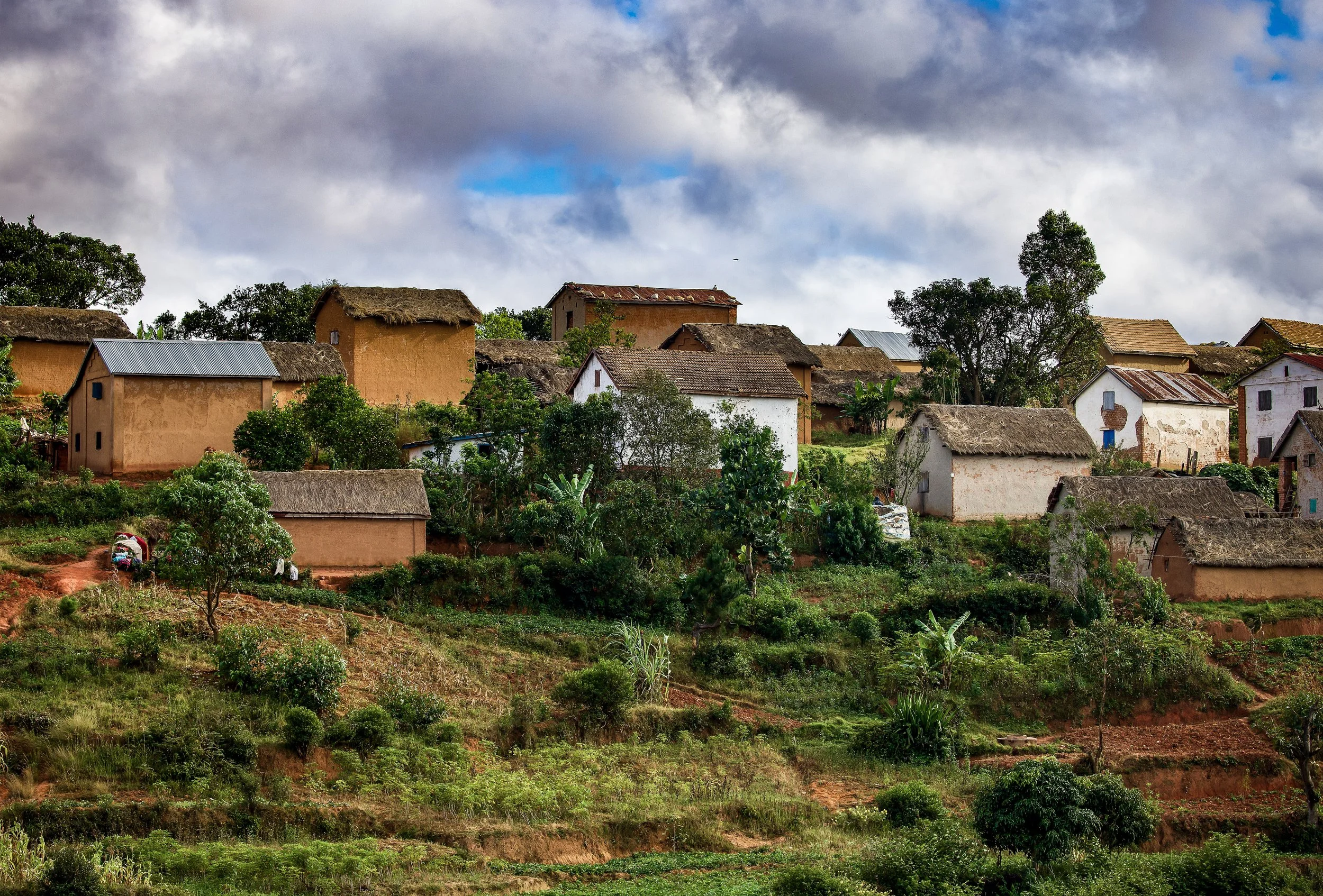 website compression-82.jpg