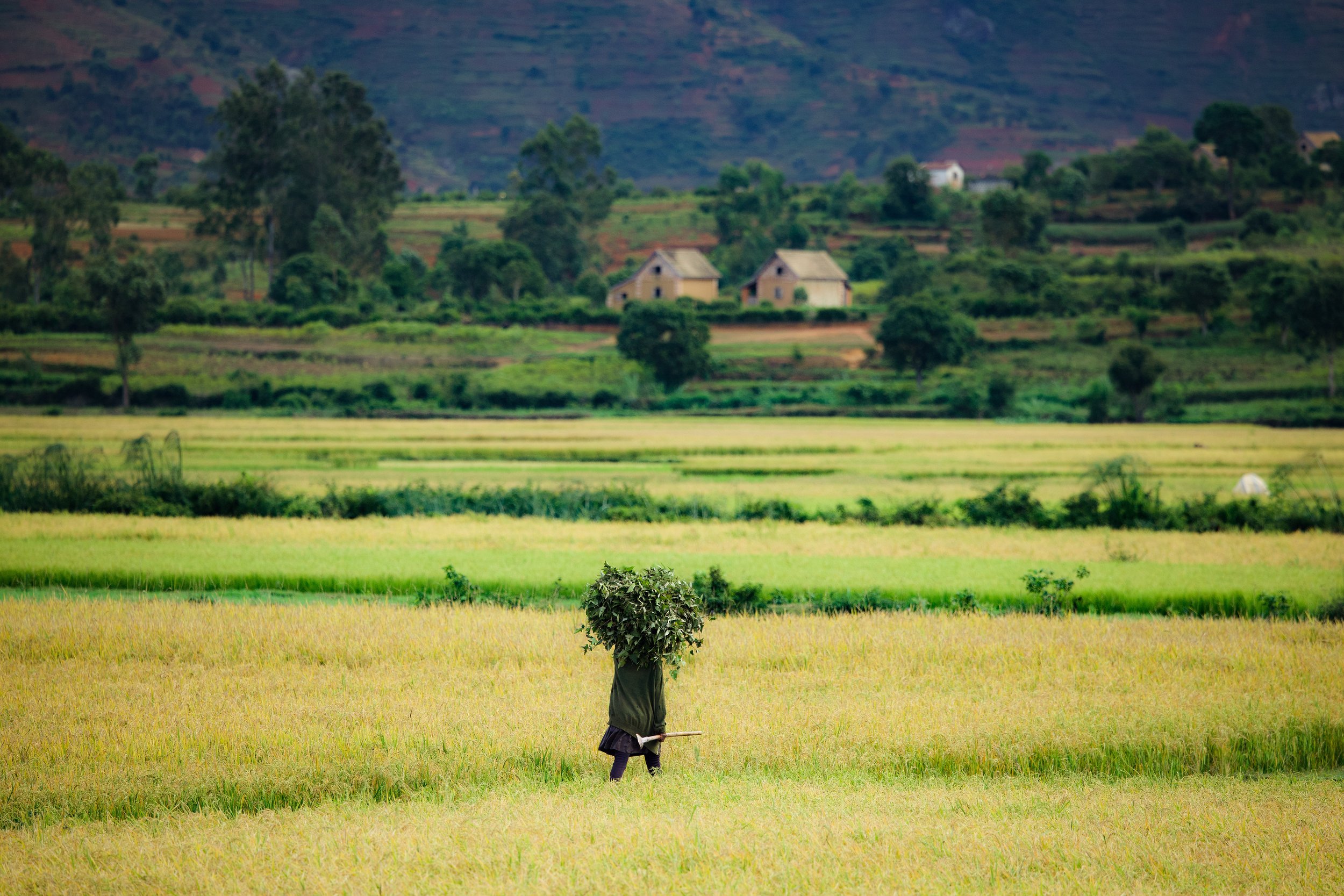 website compression-83.jpg