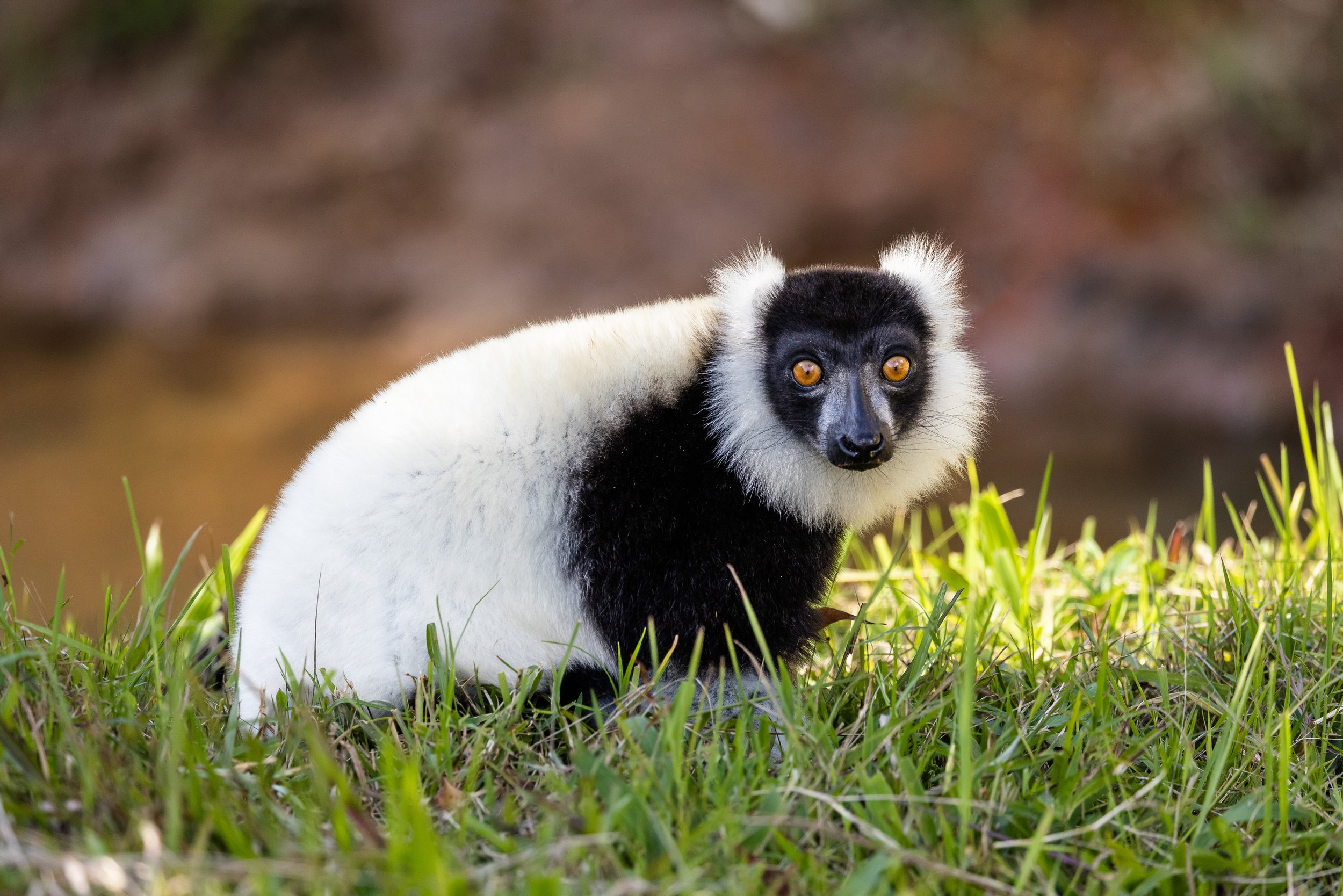 website compression-162.jpg