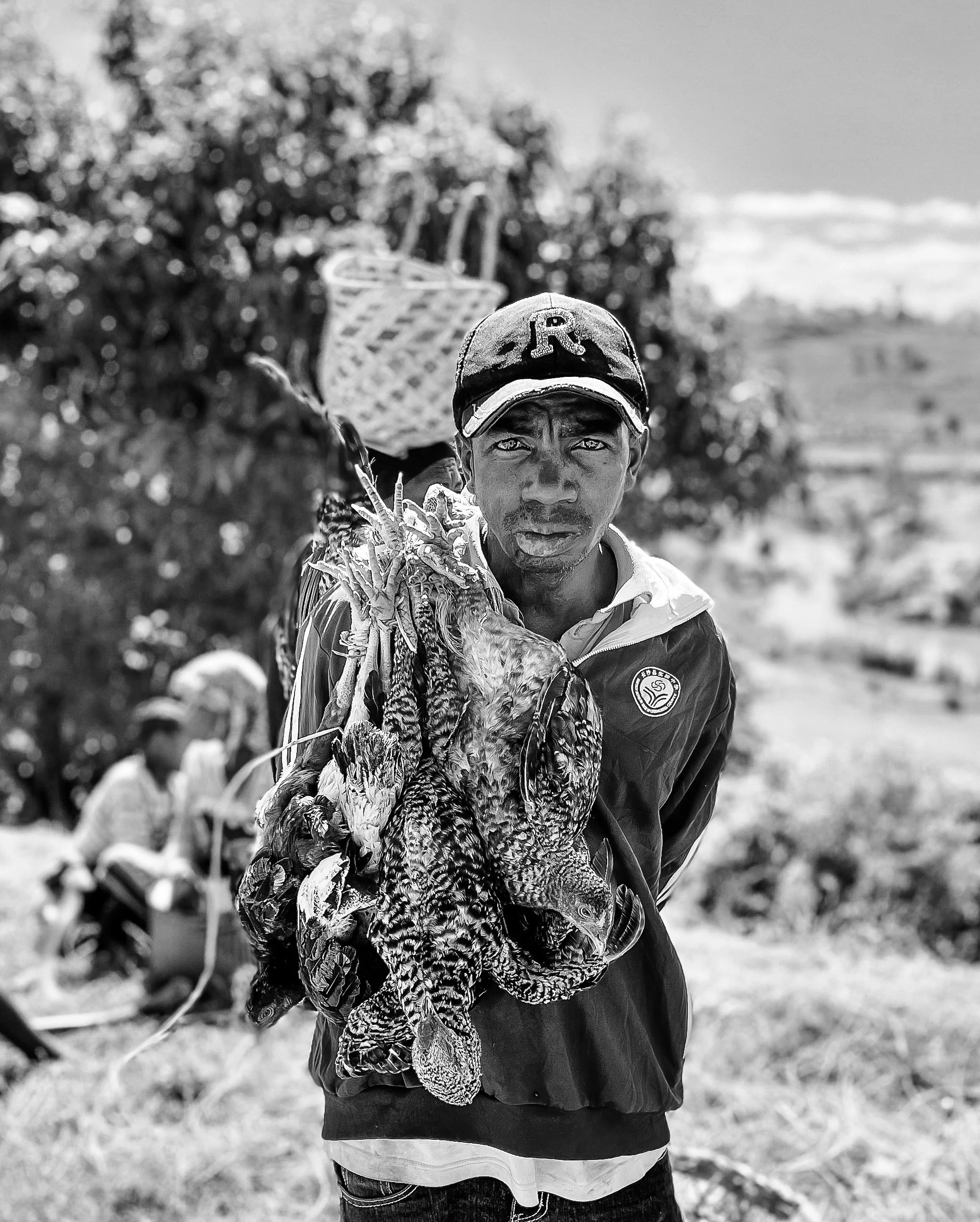 website compression-71.jpg