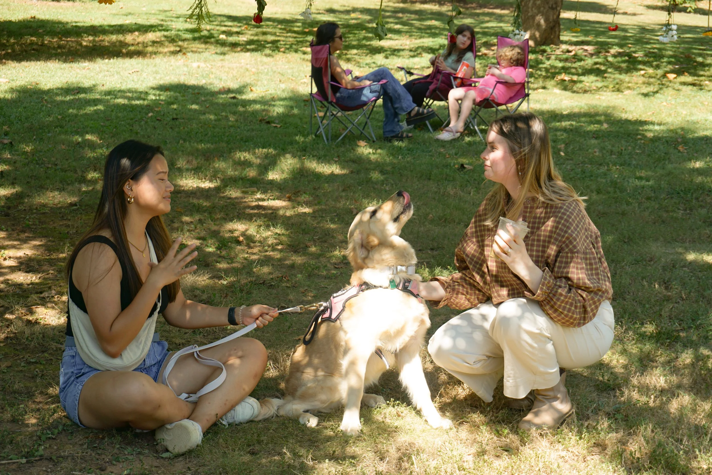 Tickets, Memberships & Vendor Slots — Lynchburg Historical Foundation