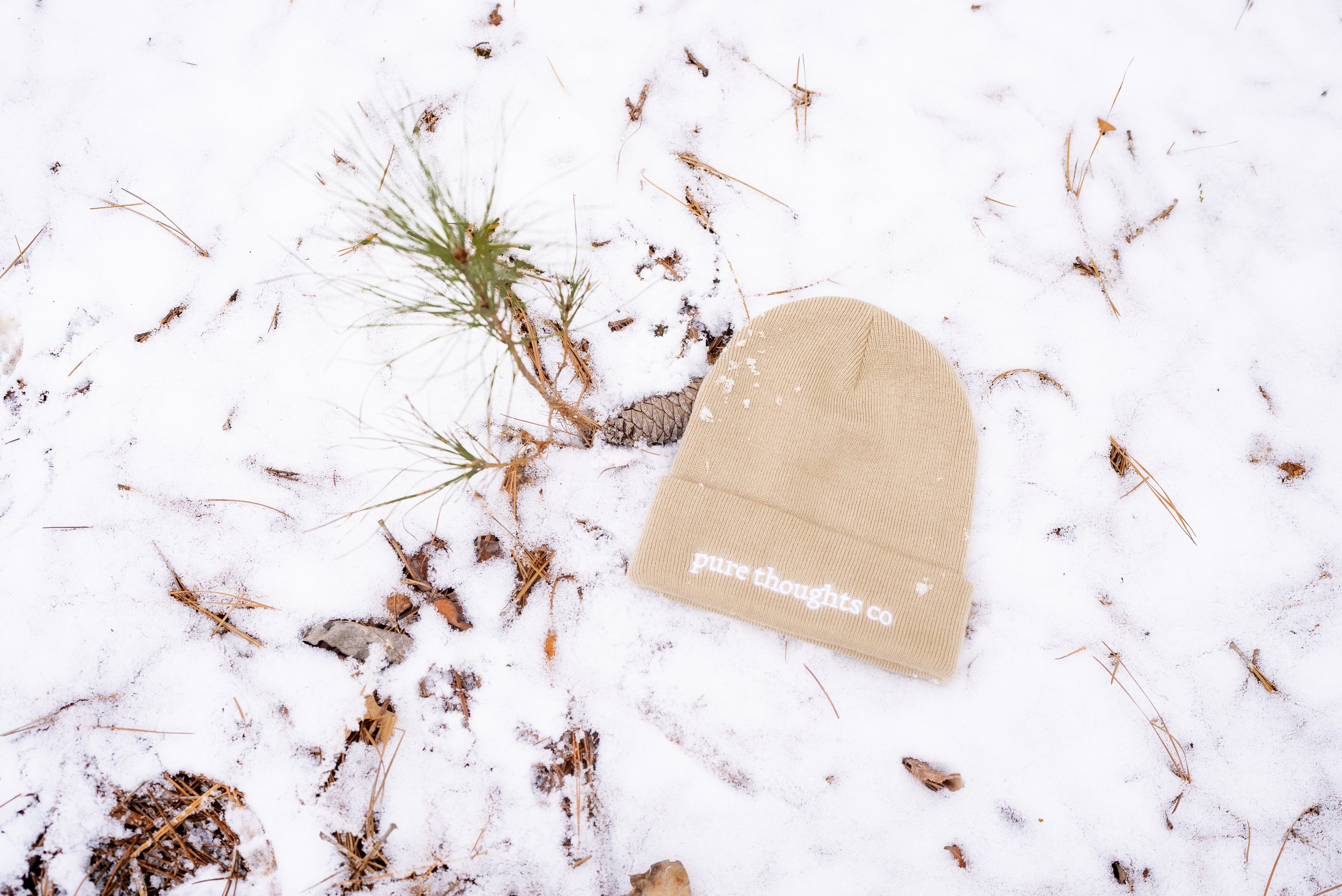 PTC_Beanies_21.jpg