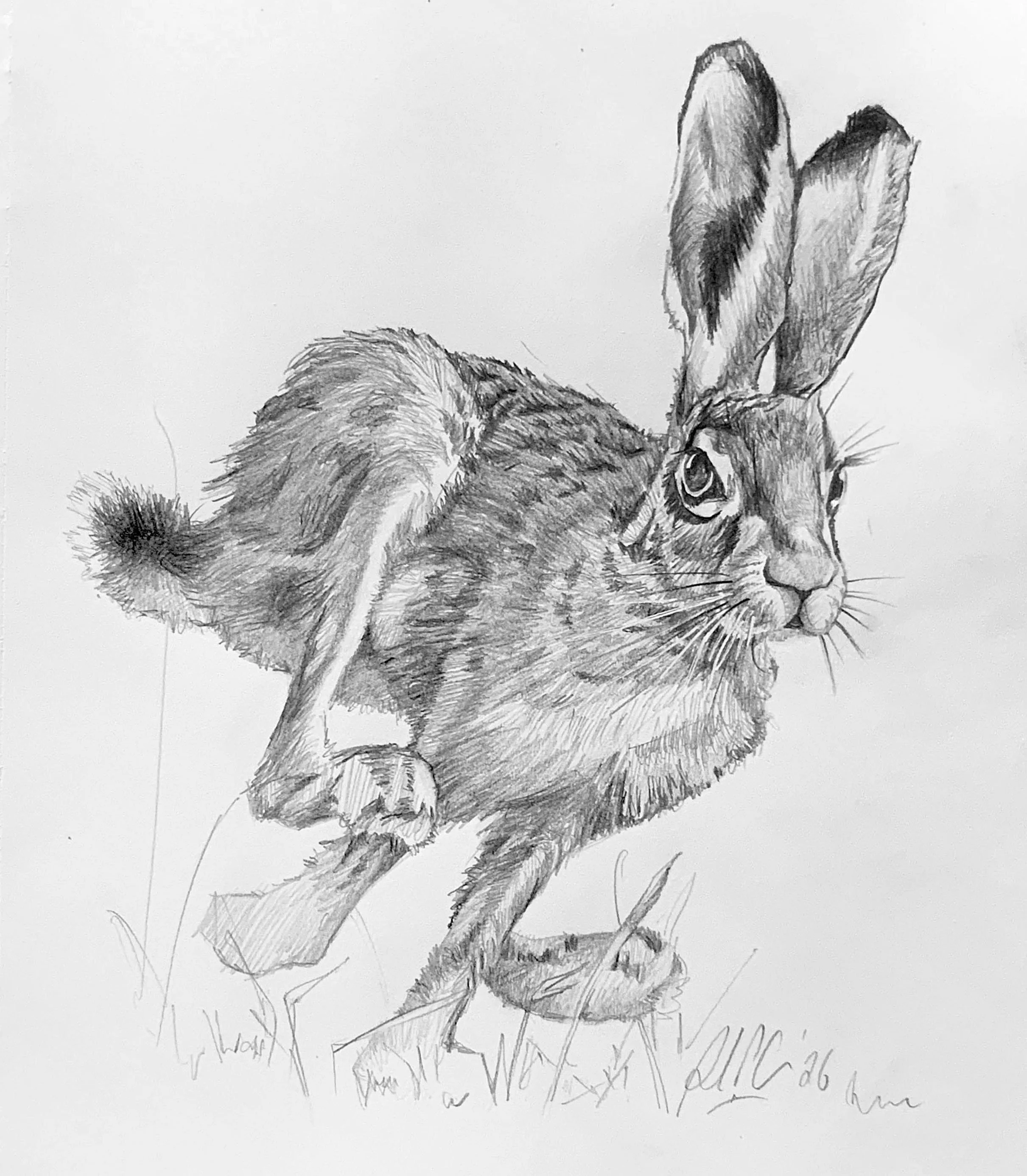 Running Hare_A4.jpeg