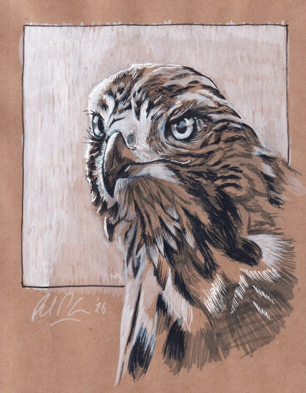 Eagle Sketch.jpeg