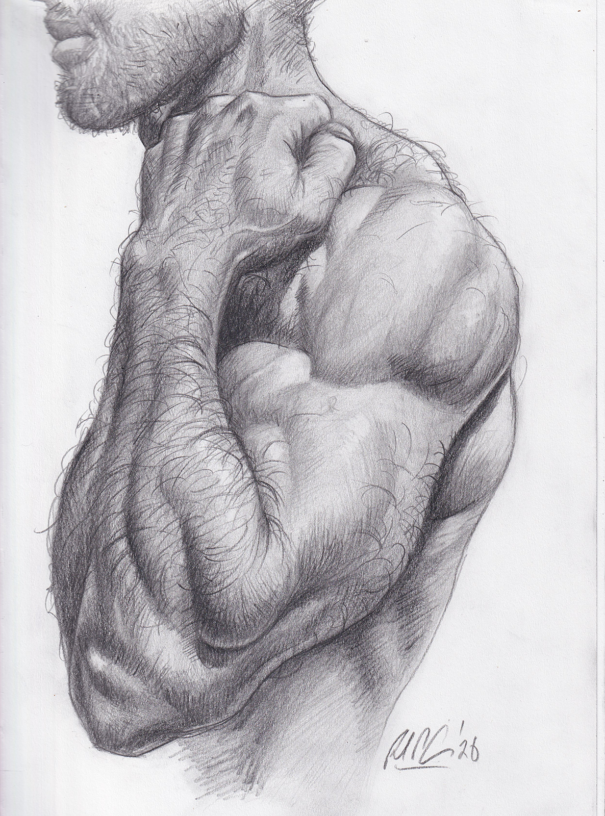 Final Arm Sketch @1500px.PNG