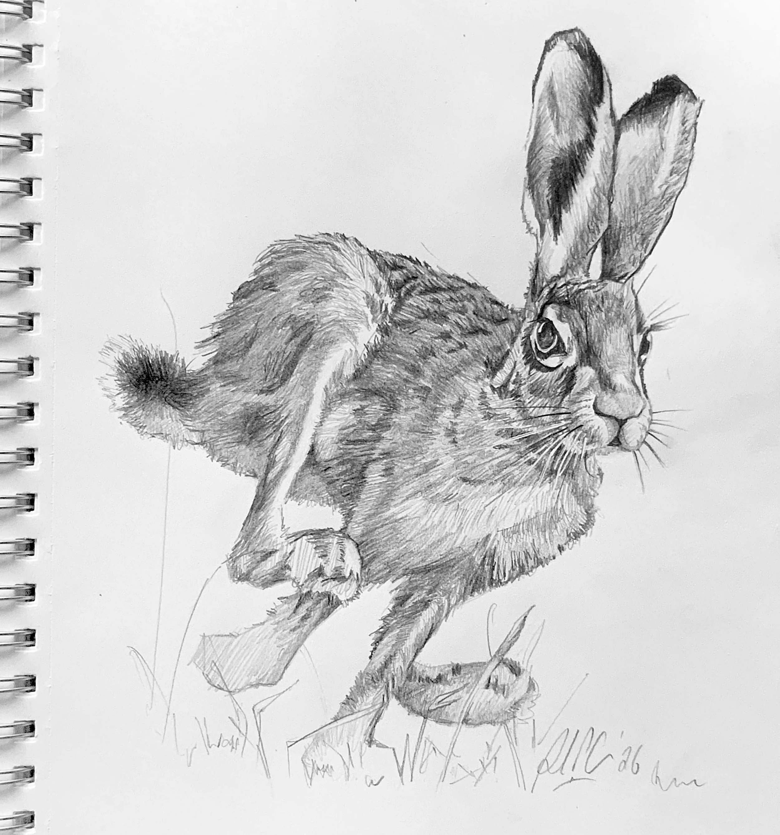 Running Hare_A4.jpeg
