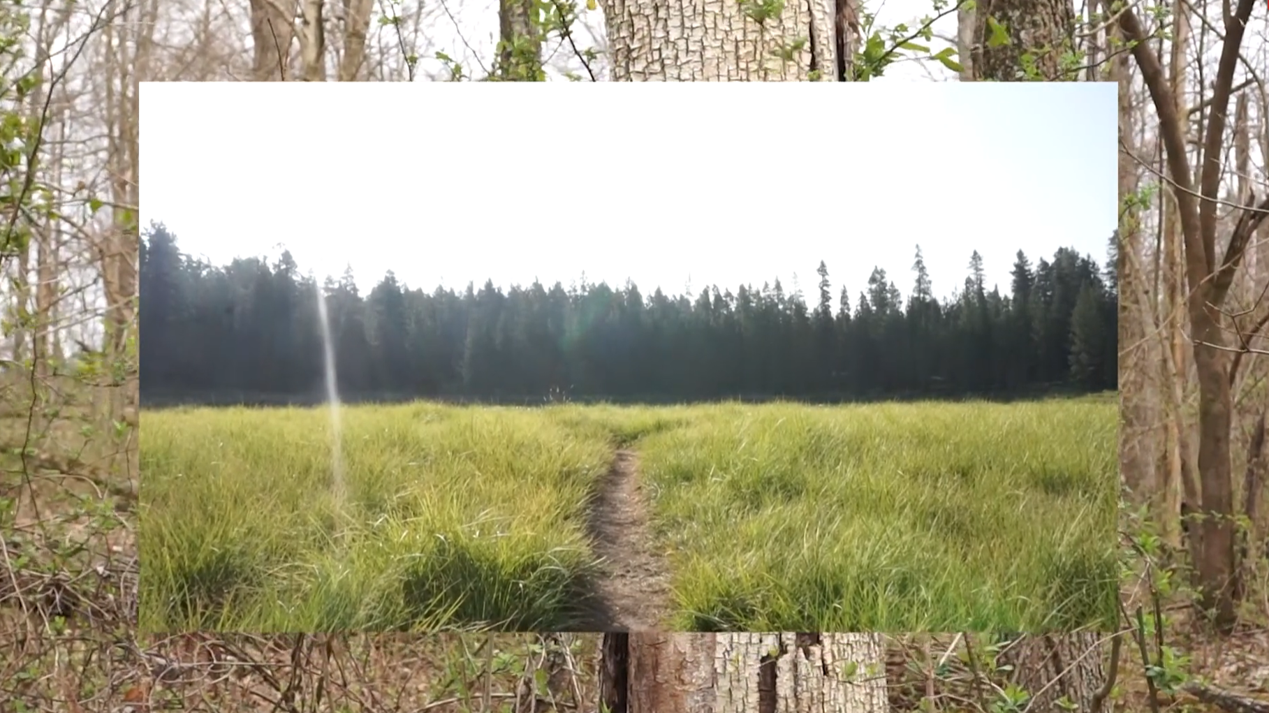 everybody laugh || we should get going