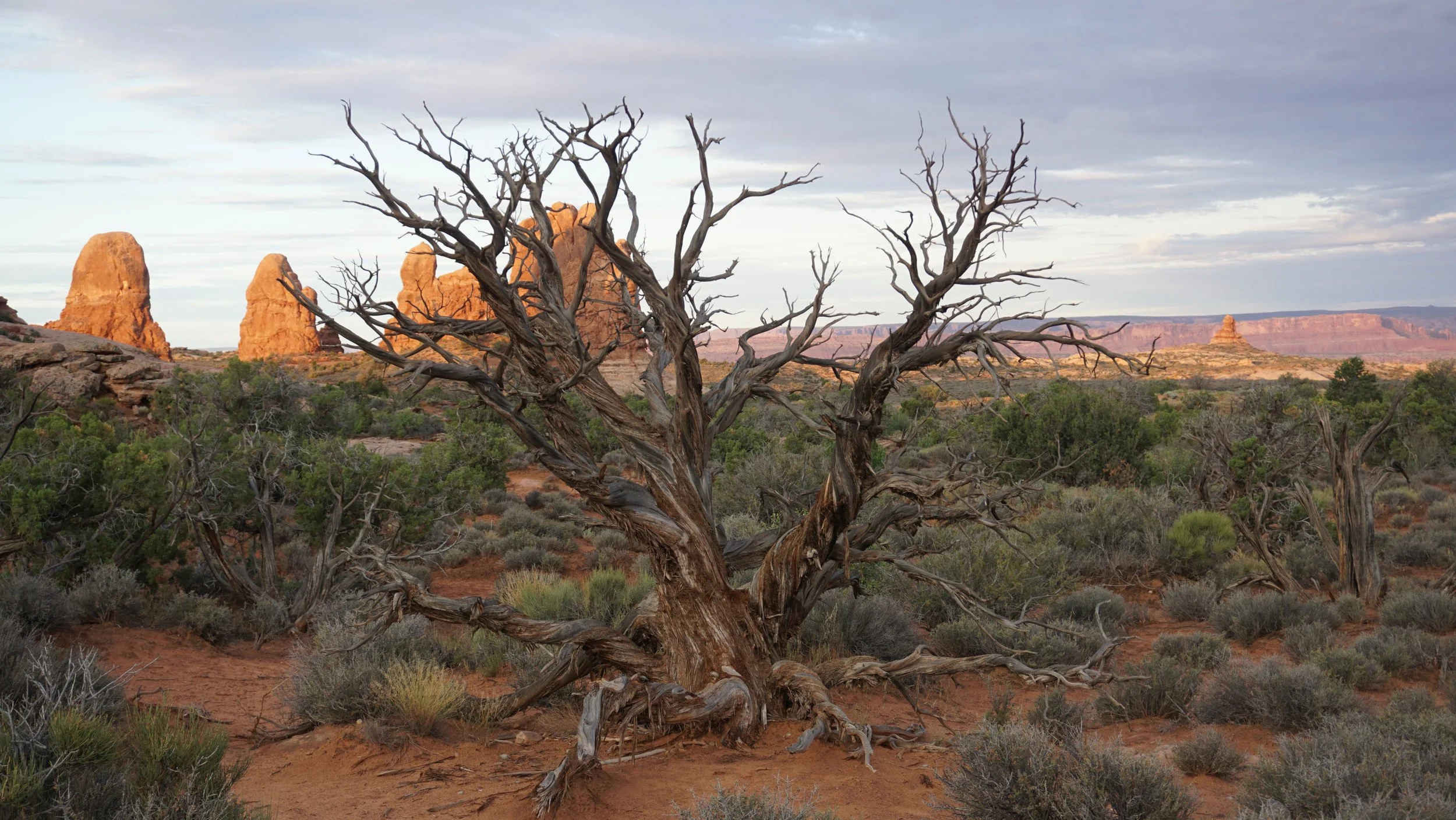 Photography Portfolio