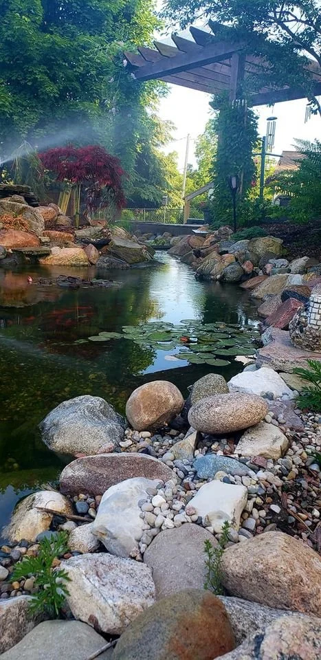 Pond 021.jpg