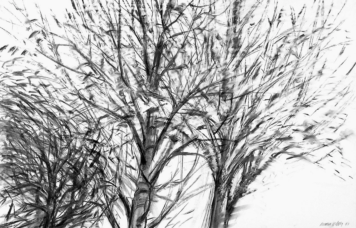 Trees, Charcoal