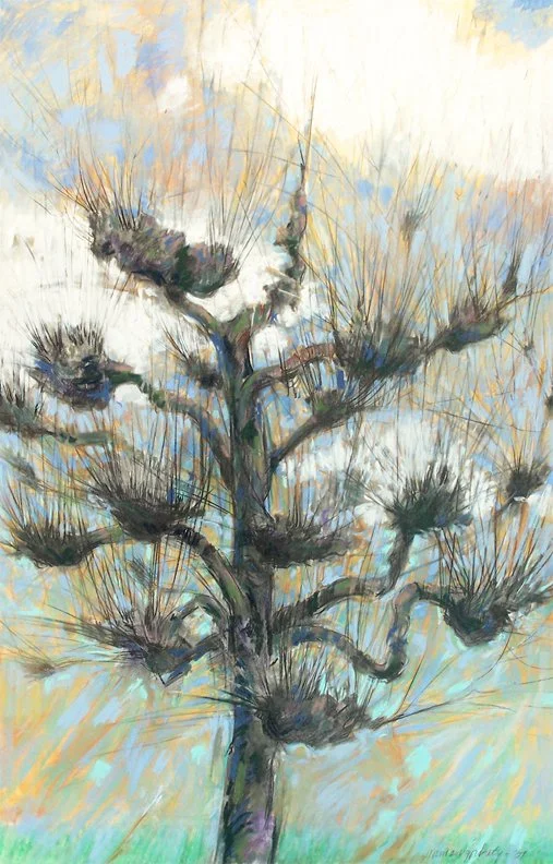 Belgium Tree, 2005, Pastel, 22” x 30”