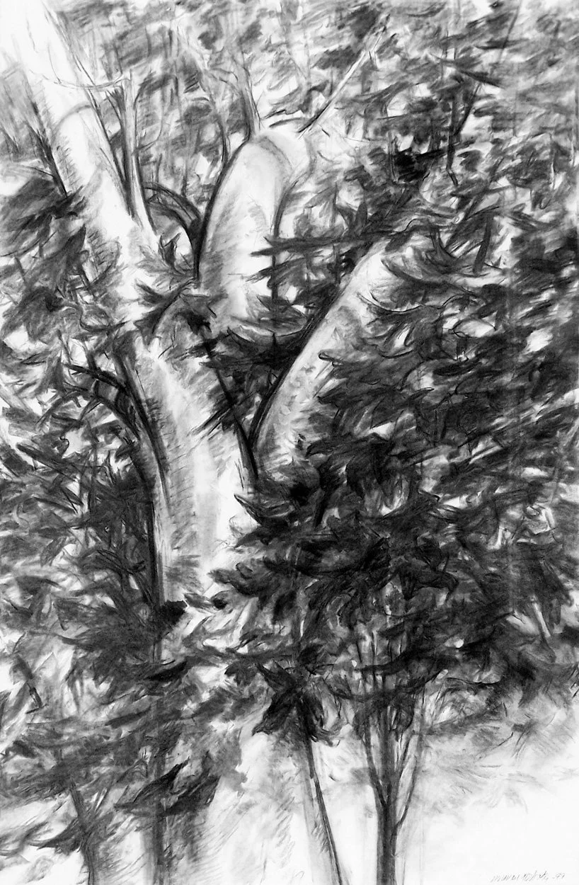 Tree, Charcoal