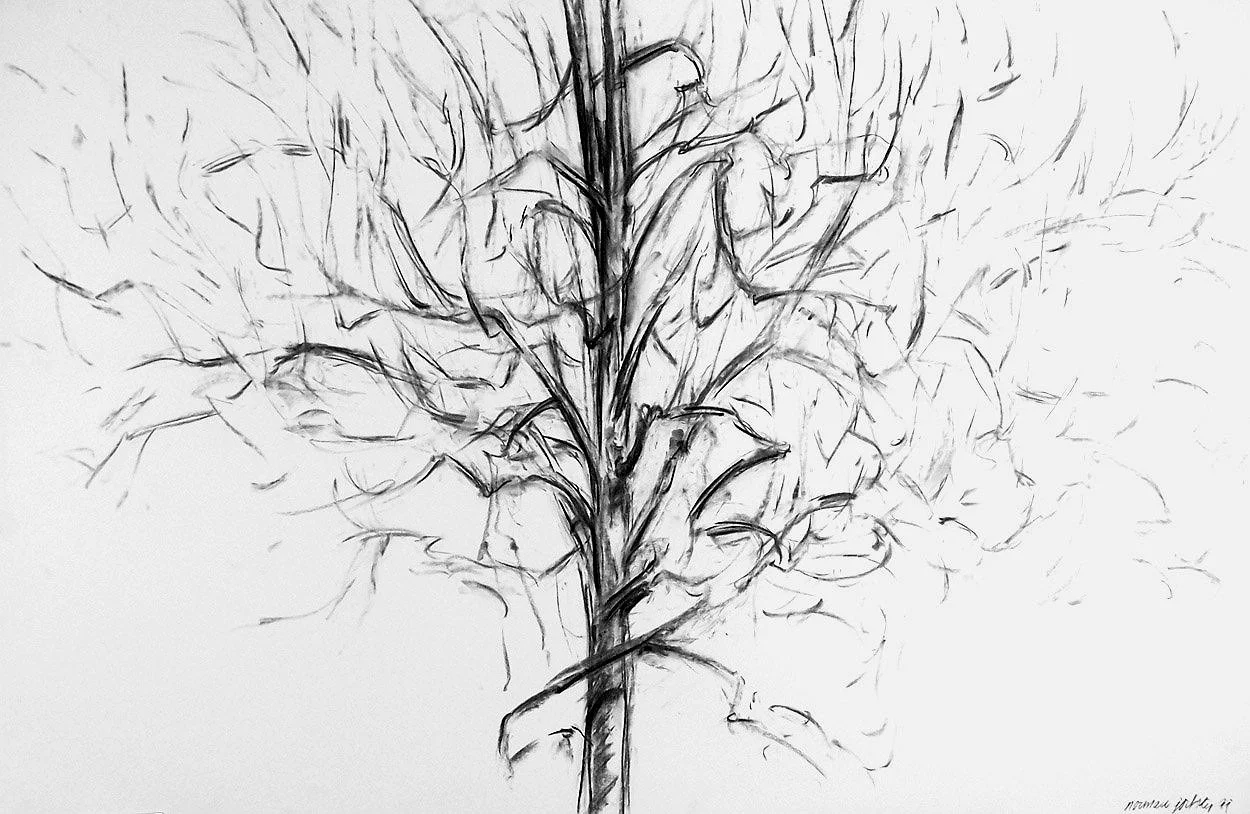 Tree 02, Charcoal