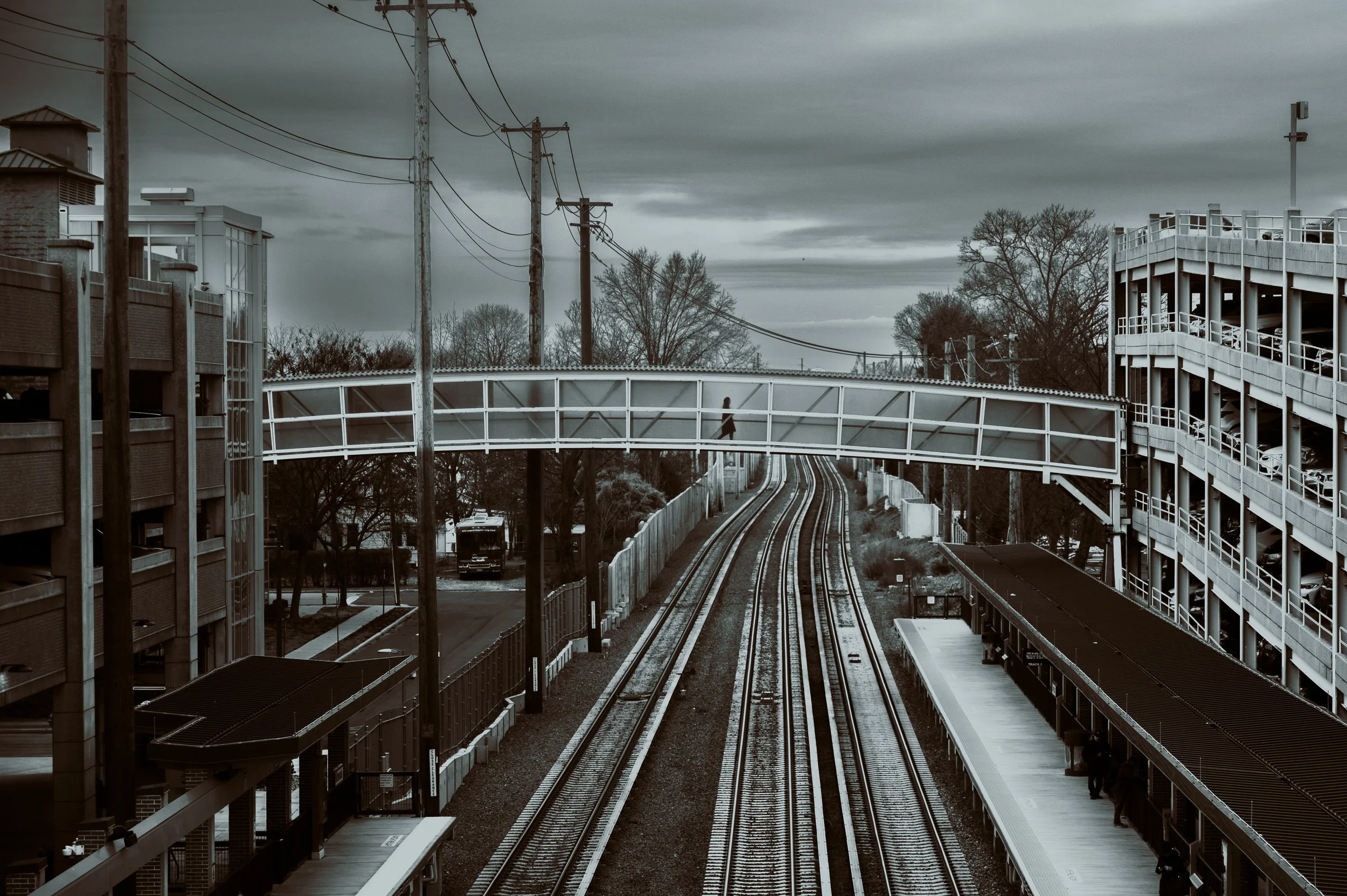 Mineola 1.9-6 copy.jpg