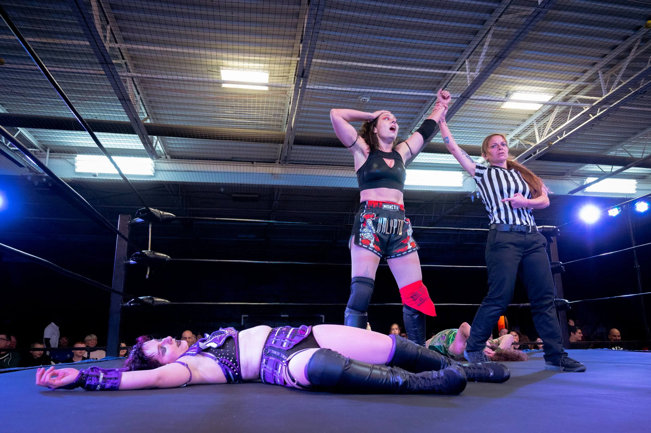 Burke Kalypto Tatiana.jpg