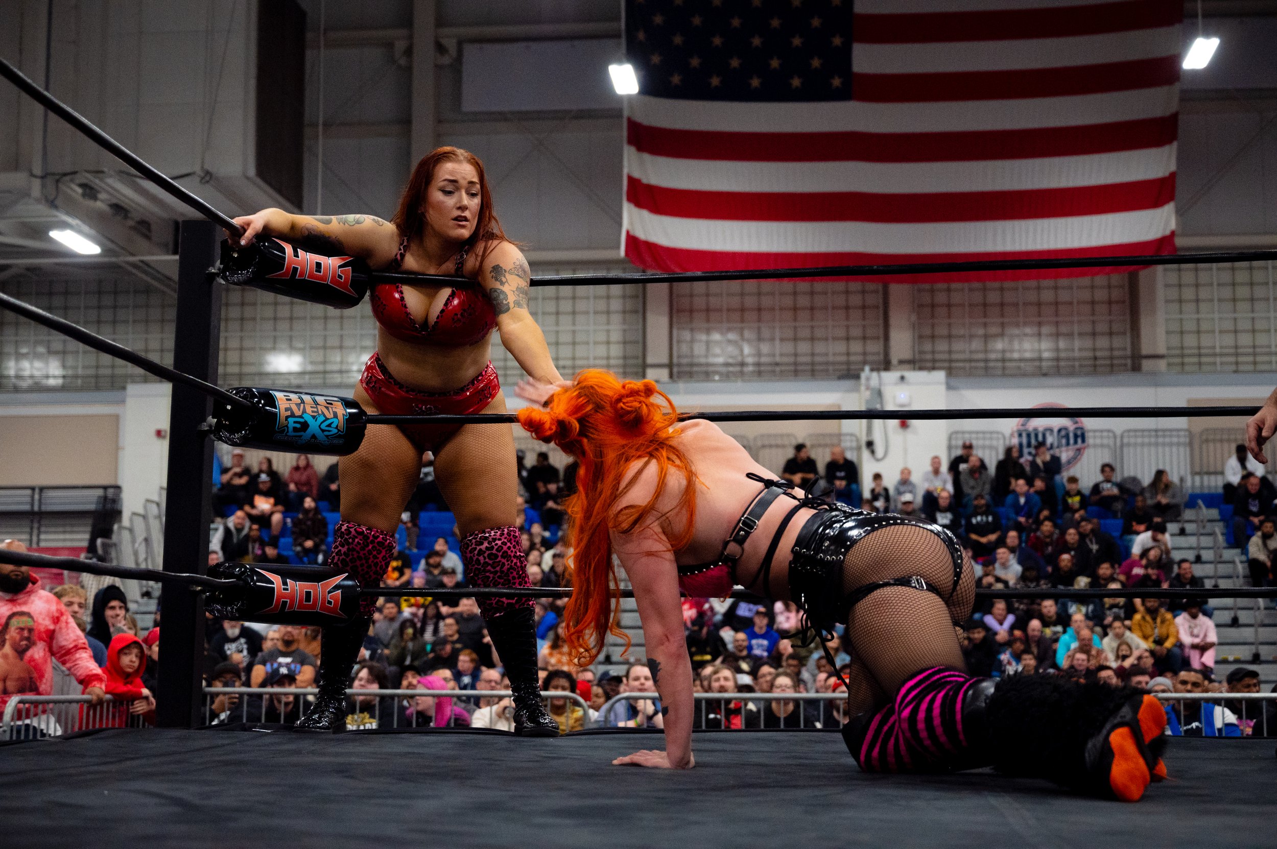 Shotzi Scarlett Allie PK-4.jpg