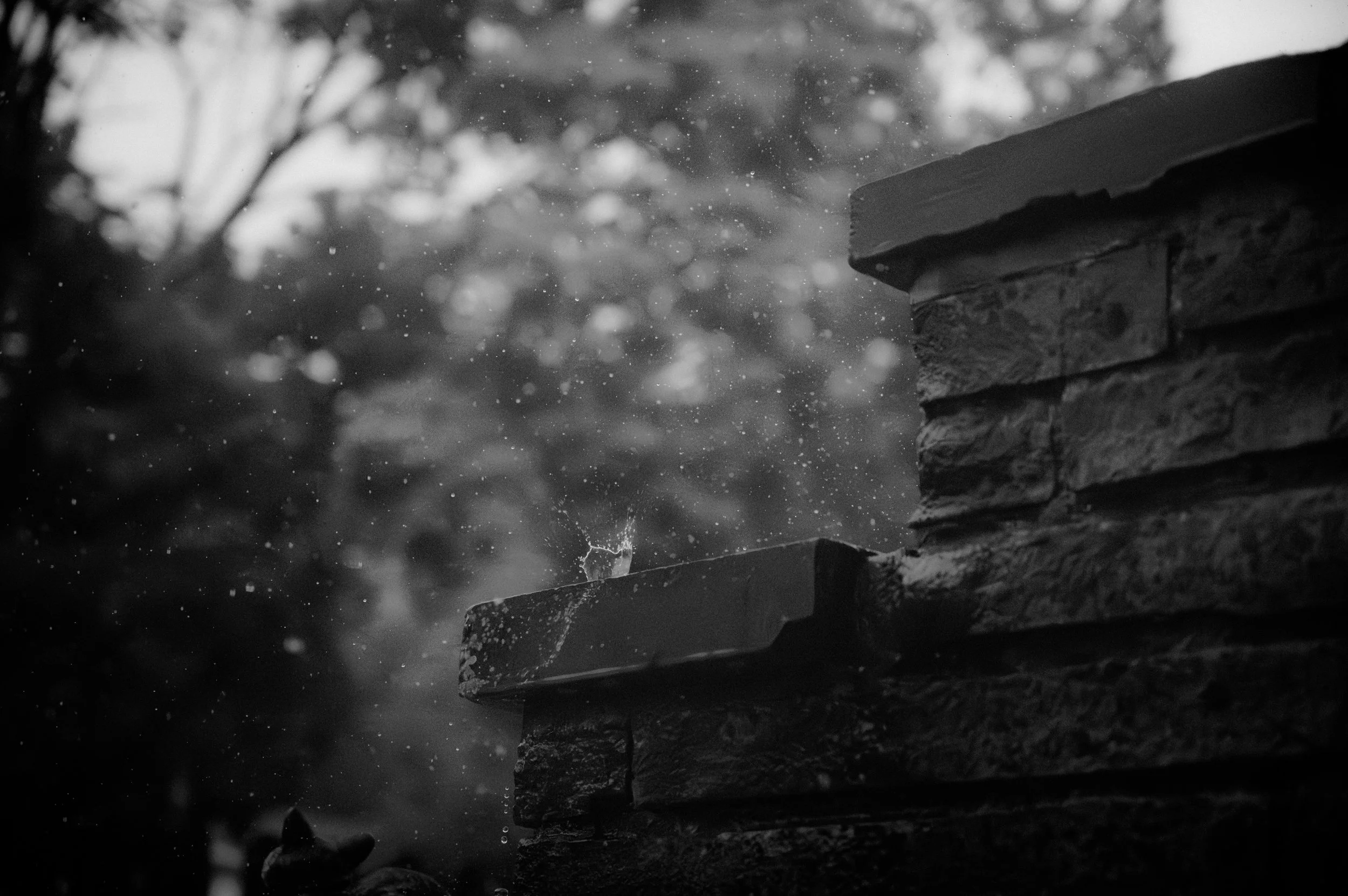 Impact (v2) copy.jpg