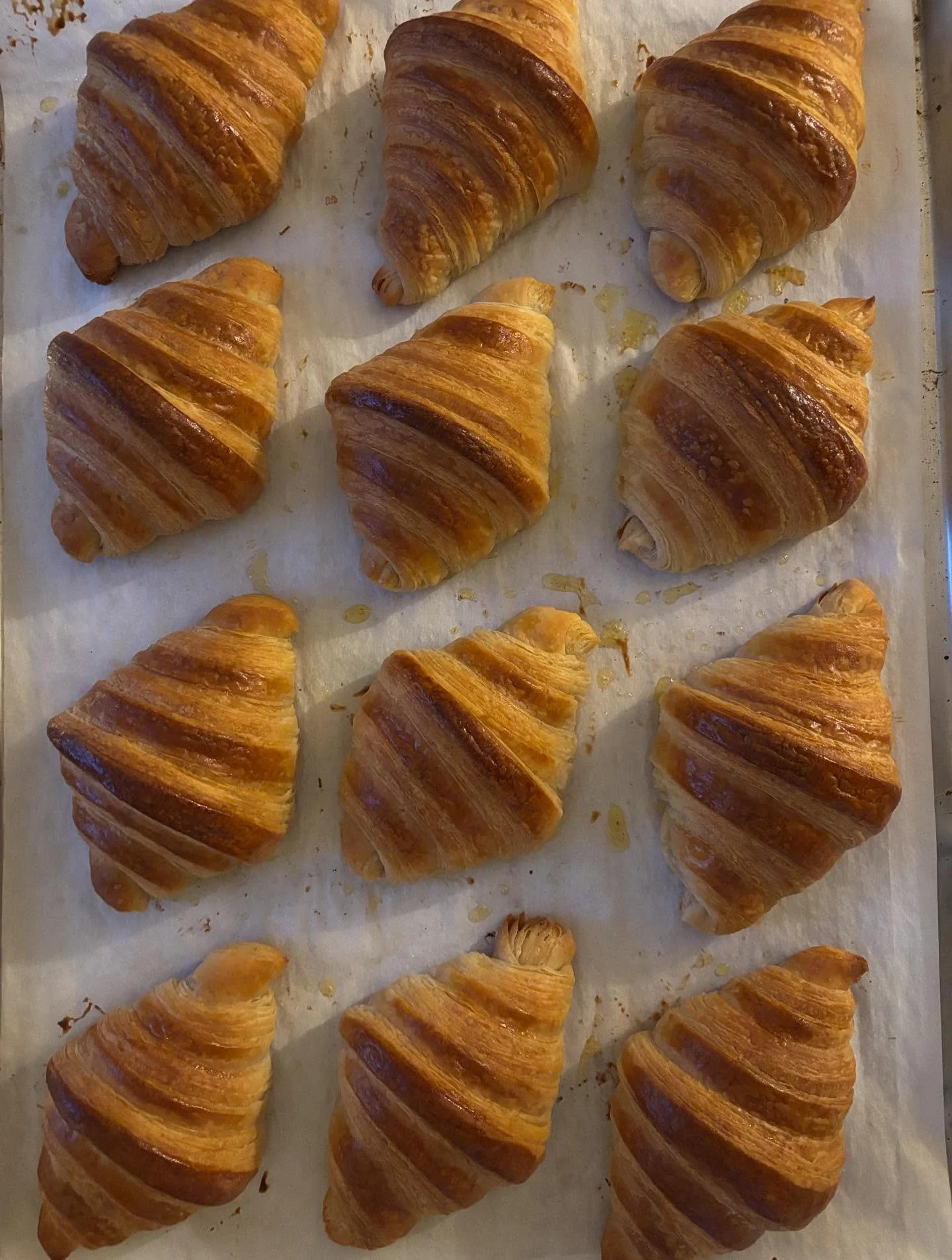 It still amazes me that I can make croissants - long fermented, organic grain, gut friendly, sourdough croissants. How cool is that?!

Available today (Wednesday 9/17) @owlturtle 
(along with cranberry orange scones and oatmeal raisin cookies)

#main