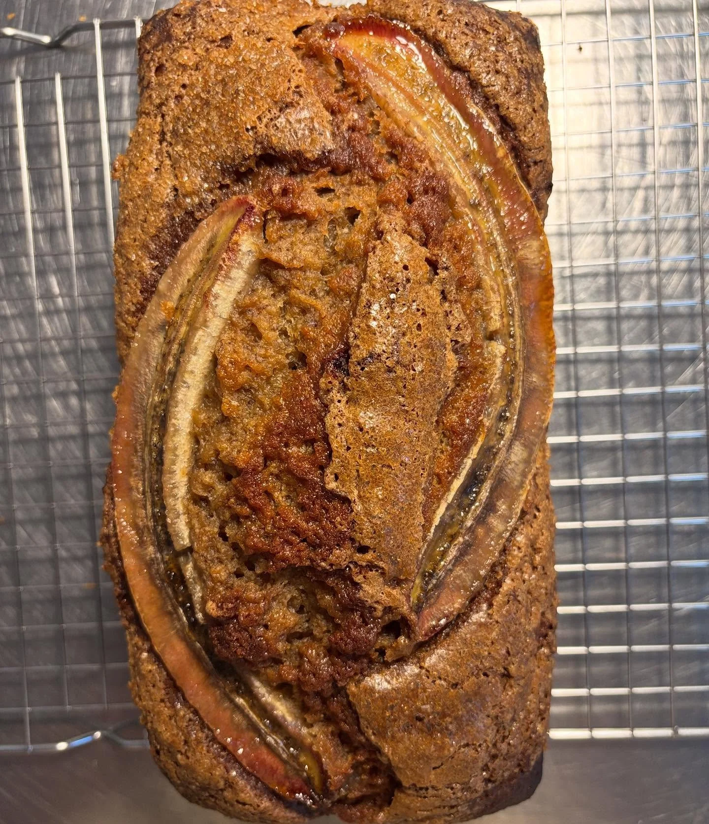 Today (Tuesday 9/23) @owlturtle :

✨ banana bread
✨ Maine wild blueberry muffins
✨ oatmeal raisin cookies 

All sourdough. All long fermented. All made with organic grains (and sugar and milk where applicable). All delicious and (more) nutritious. 

